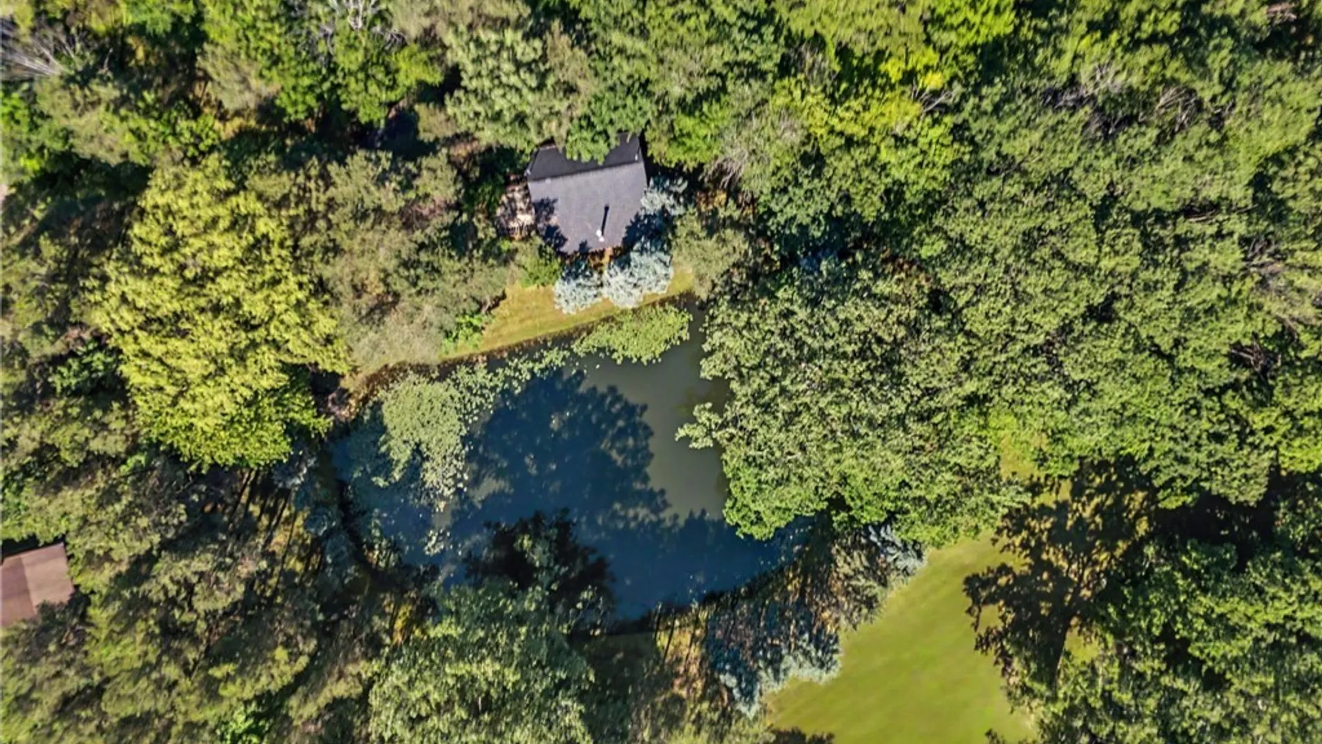 Property at 10985 Griswold Road, Darien, NY 14040 43