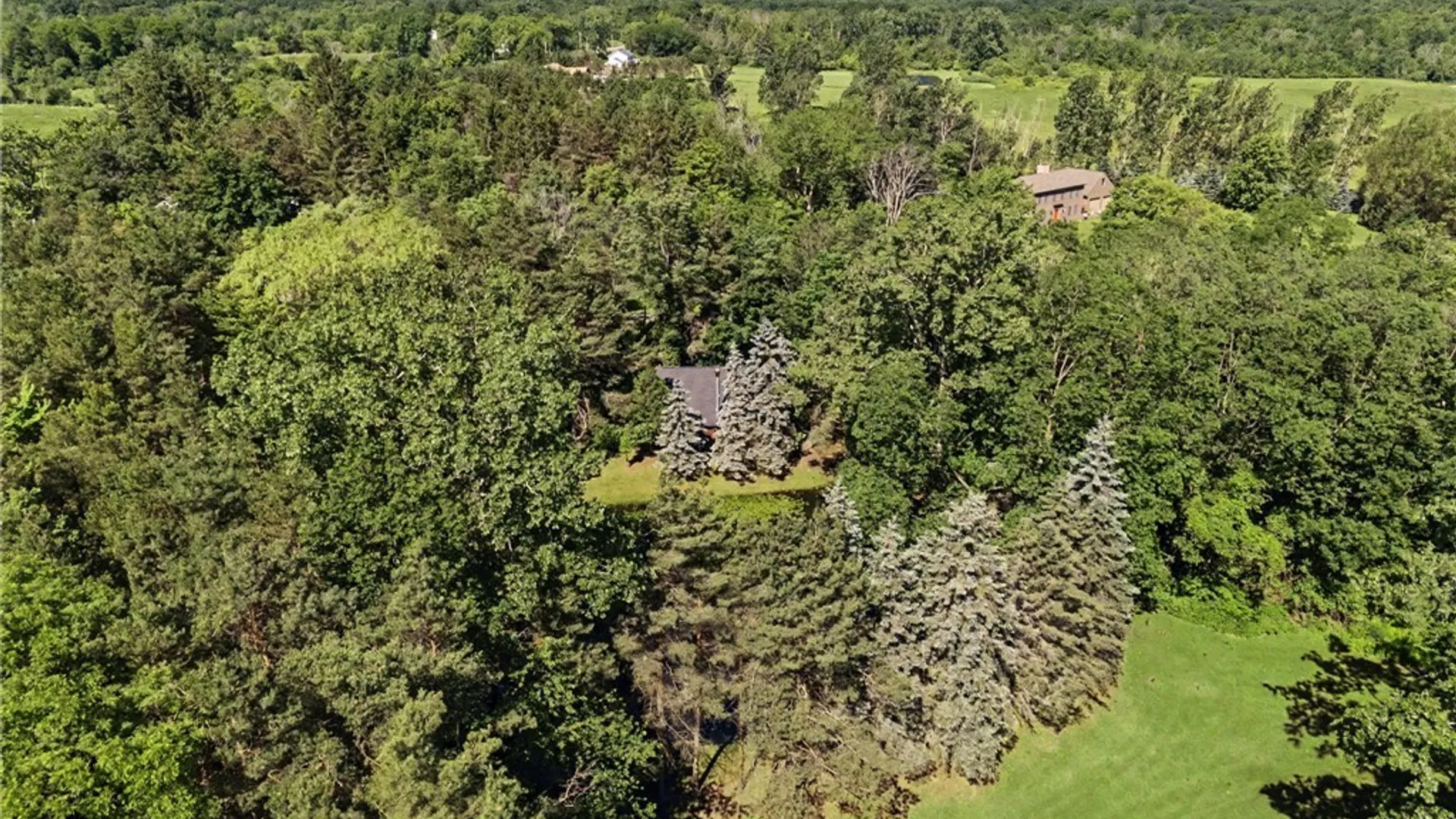 Property at 10985 Griswold Road, Darien, NY 14040 49