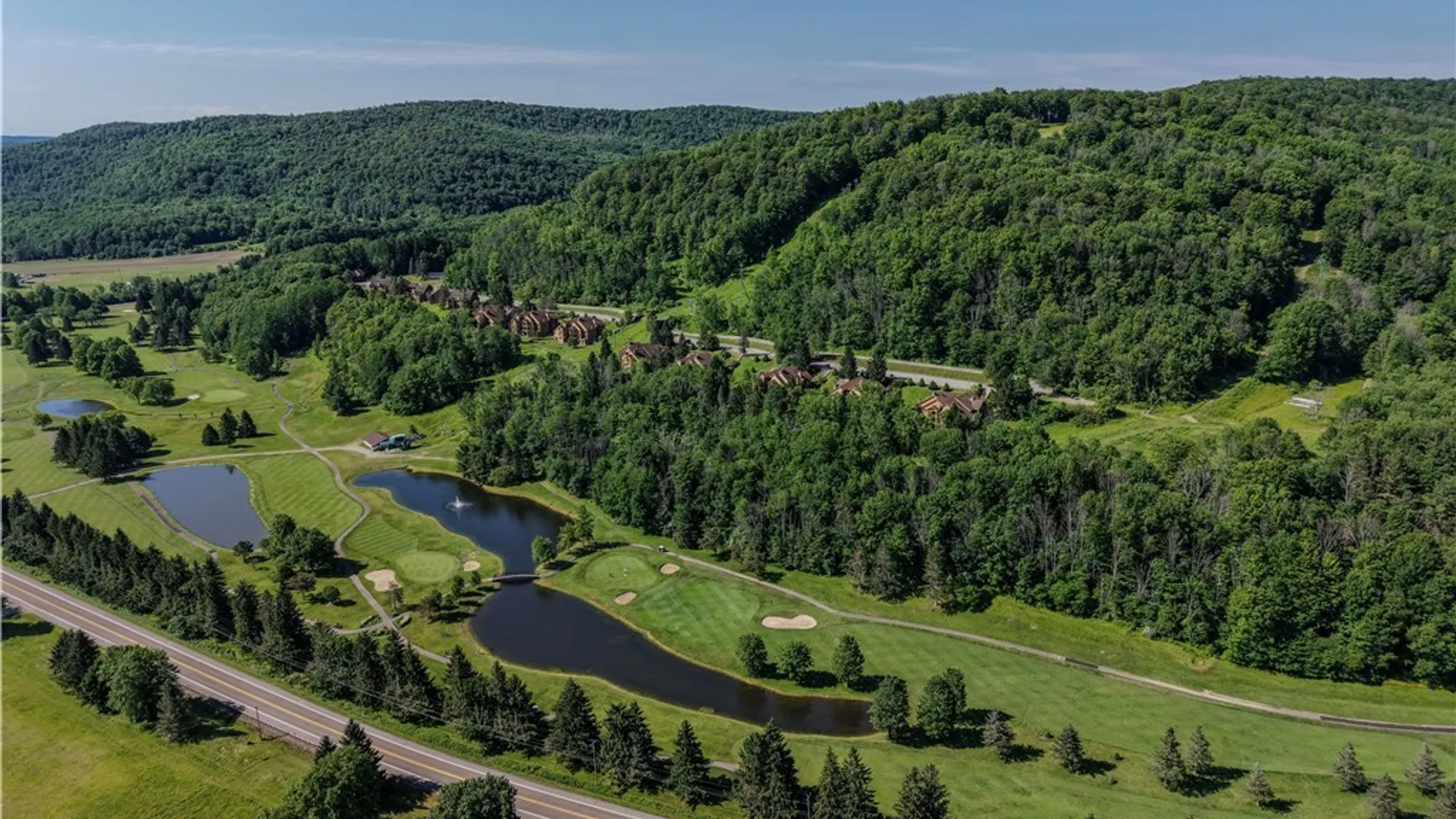 Property at D203 Snowpine Village Road, Great Valley, NY 14741 5