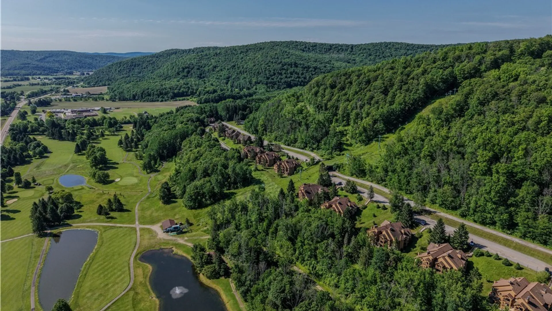 Property at D203 Snowpine Village Road, Great Valley, NY 14741 34