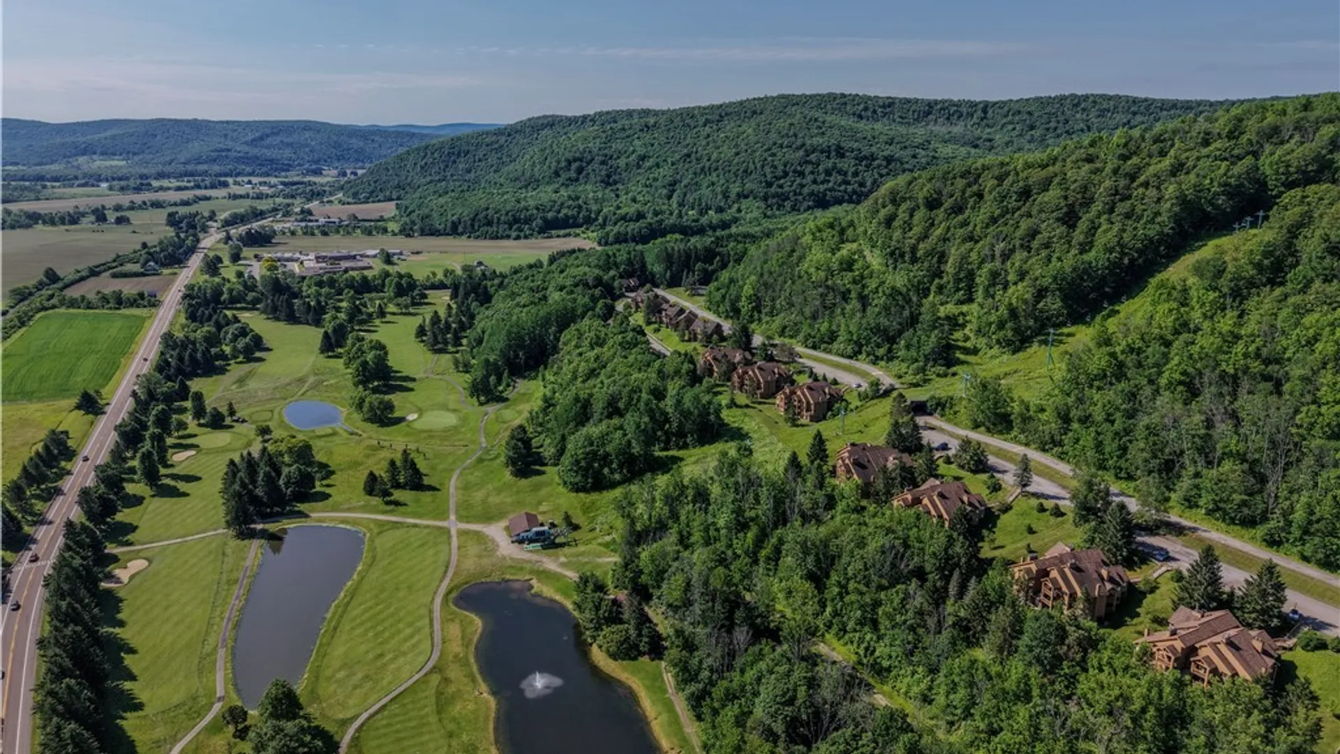 Property at D203 Snowpine Village Road, Great Valley, NY 14741 35