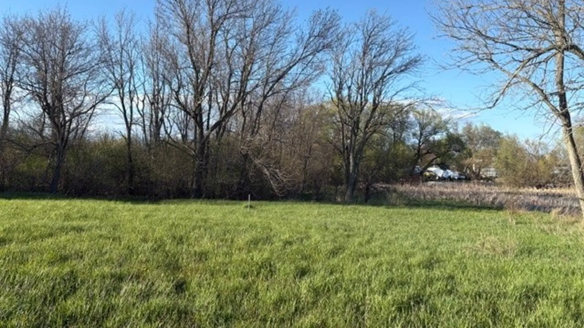 Property at Lance Shore Road Lot B, Lyme, NY 13693 4
