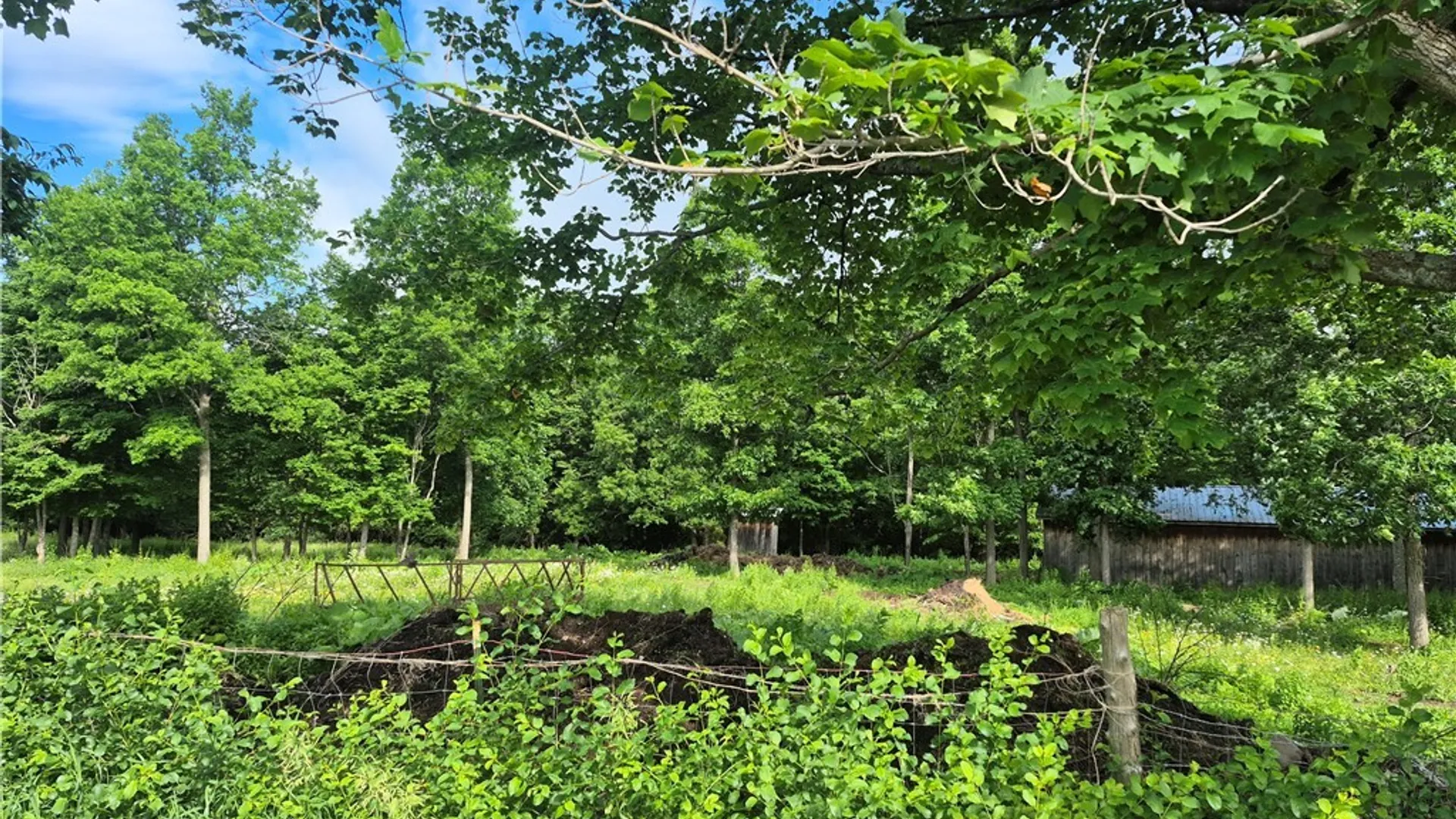 Property at 31741 County Route 179, Clayton, NY 13622 7