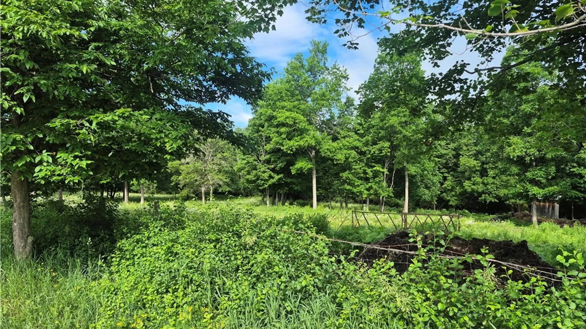 Property at 31741 County Route 179, Clayton, NY 13622 8