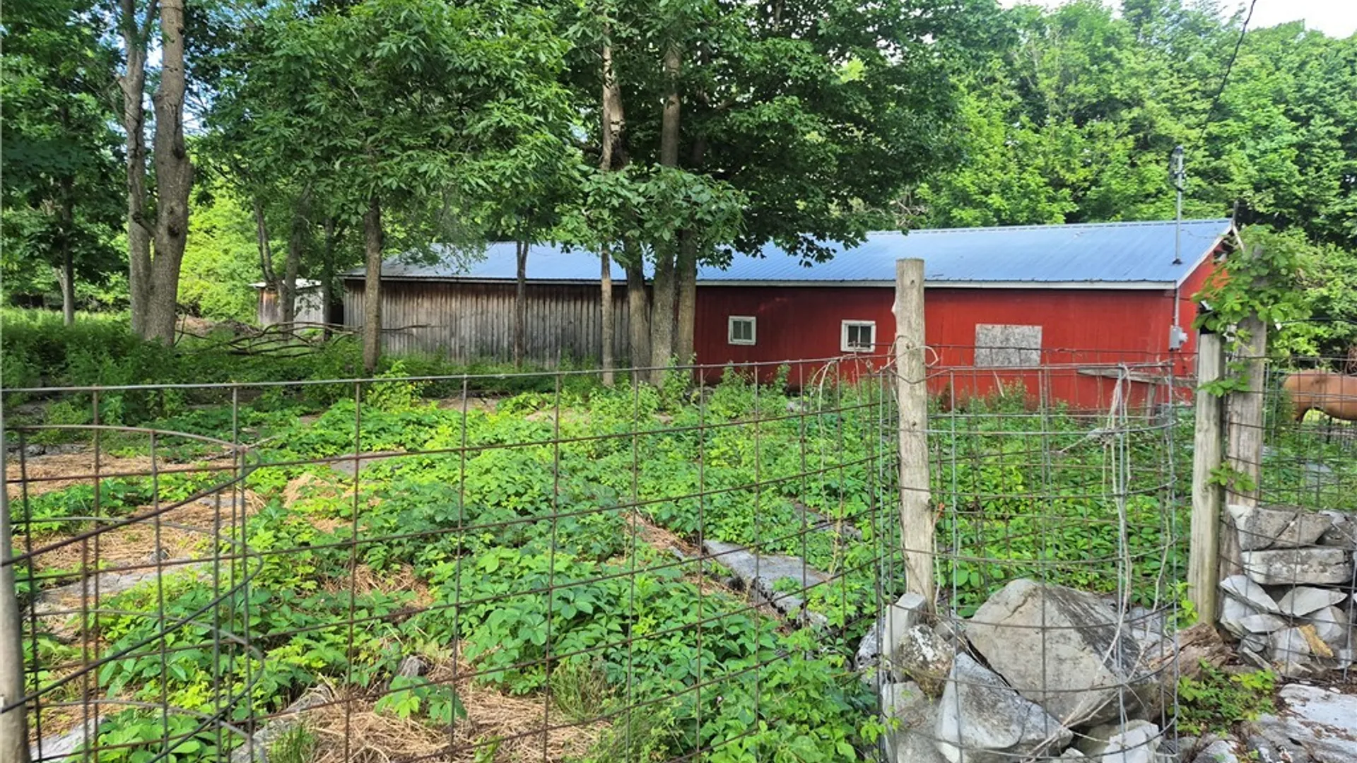 Property at 31741 County Route 179, Clayton, NY 13622 9