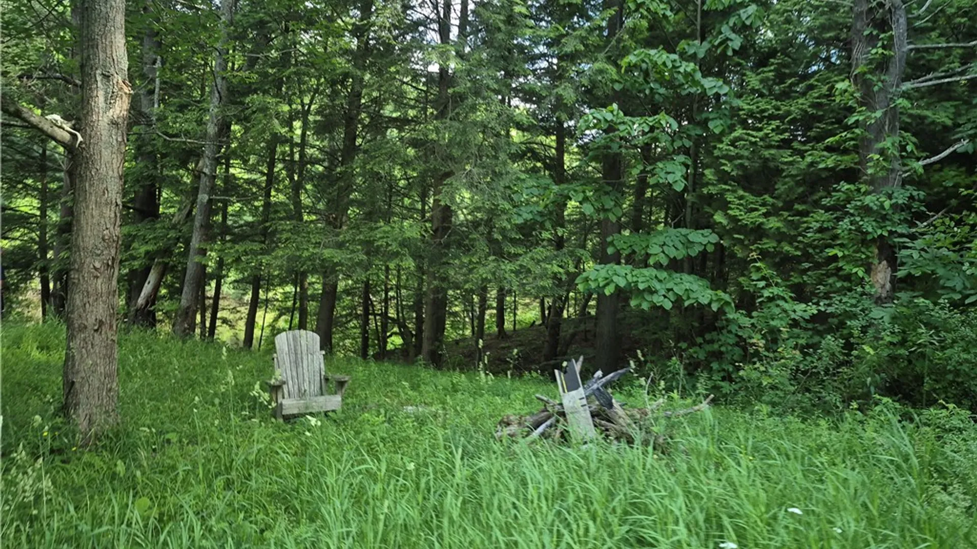 Property at 31741 County Route 179, Clayton, NY 13622 14