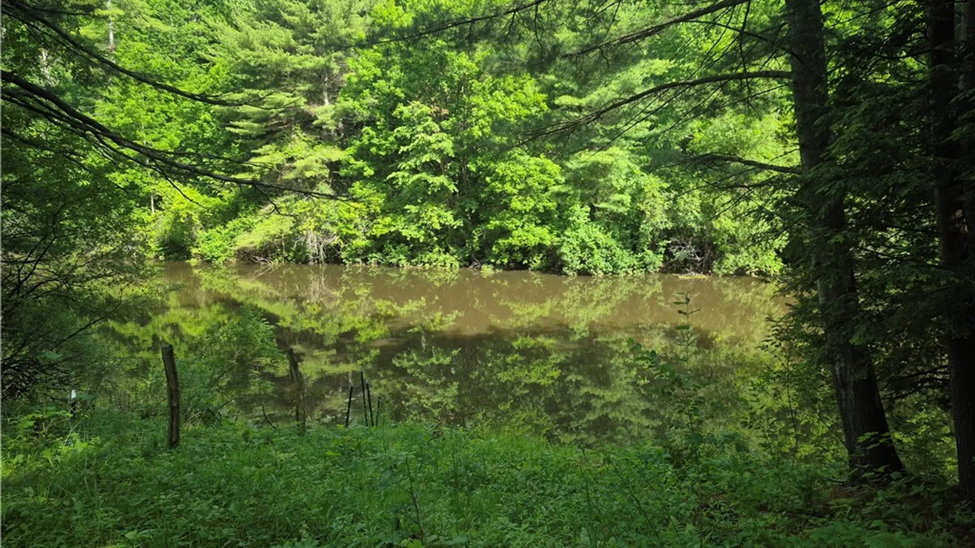 Property at 31741 County Route 179, Clayton, NY 13622 15