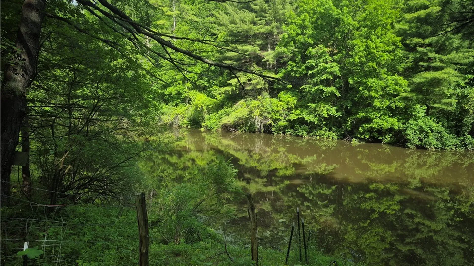 Property at 31741 County Route 179, Clayton, NY 13622 17