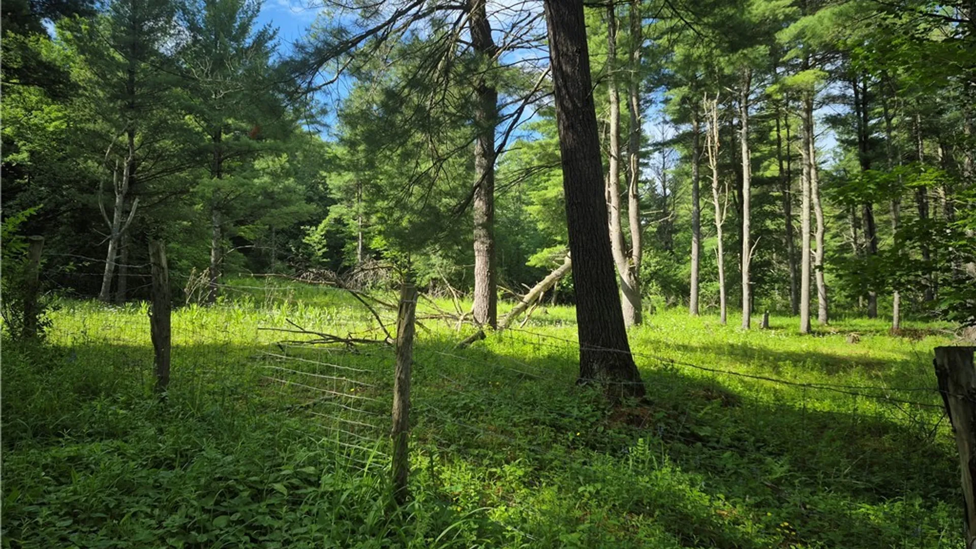 Property at 31741 County Route 179, Clayton, NY 13622 18
