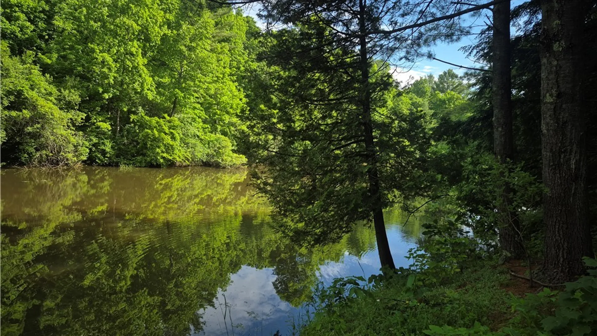 Property at 31741 County Route 179, Clayton, NY 13622 19