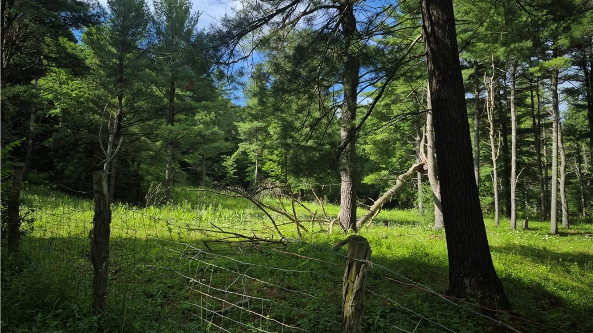Property at 31741 County Route 179, Clayton, NY 13622 21
