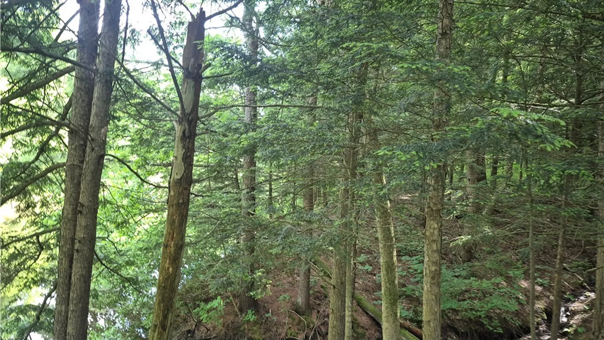 Property at 31741 County Route 179, Clayton, NY 13622 22
