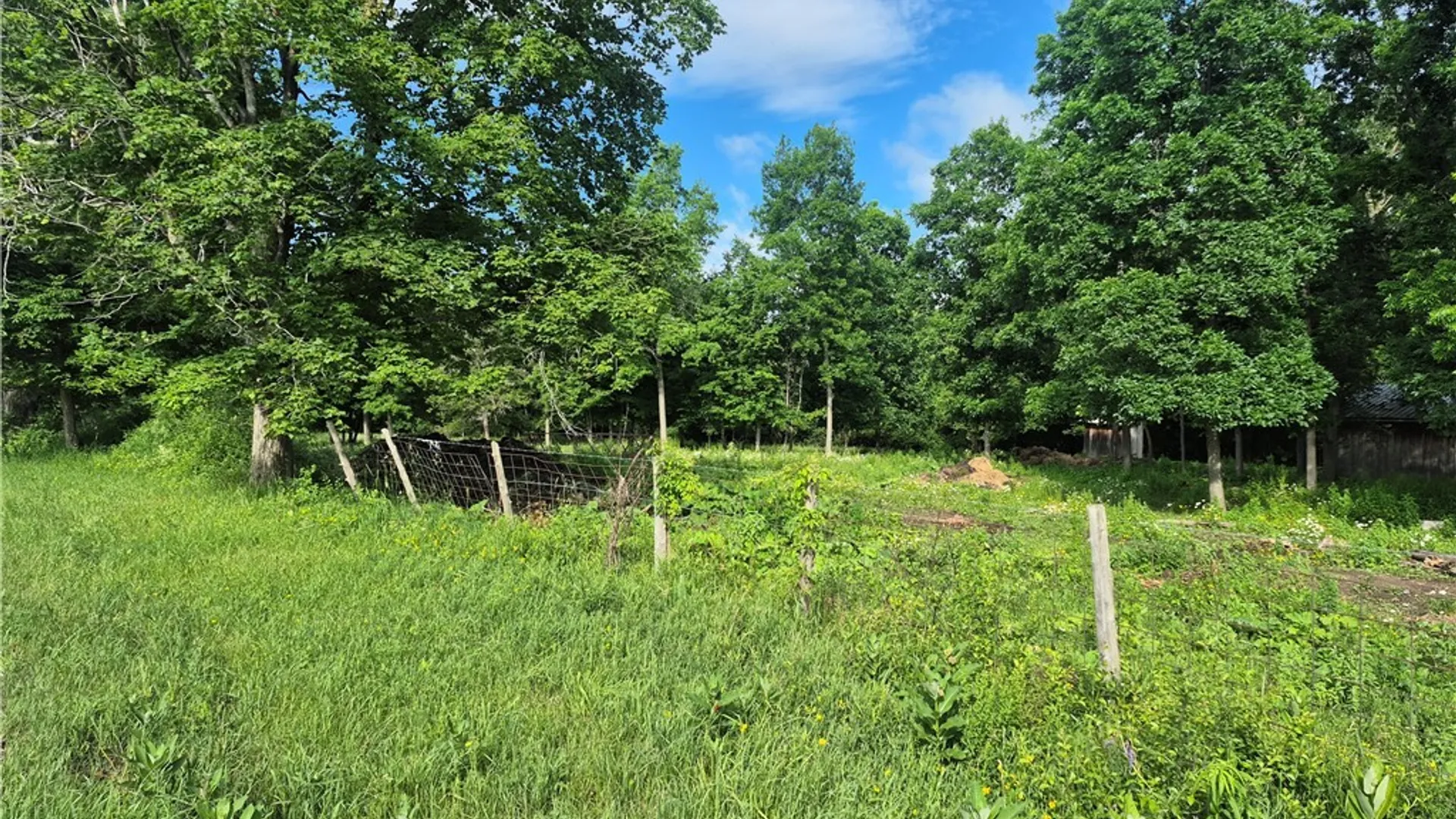 Property at 31741 County Route 179, Clayton, NY 13622 5