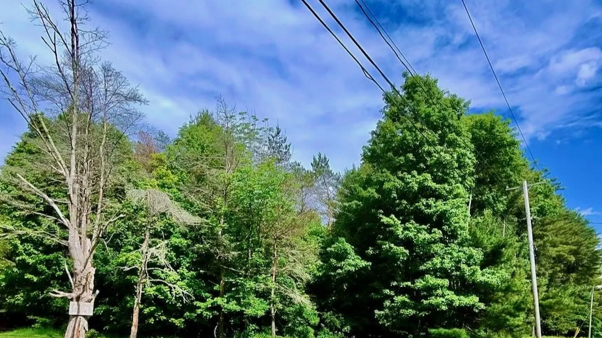 Property at 1396 State Route 13, Williamstown, NY 13302 44