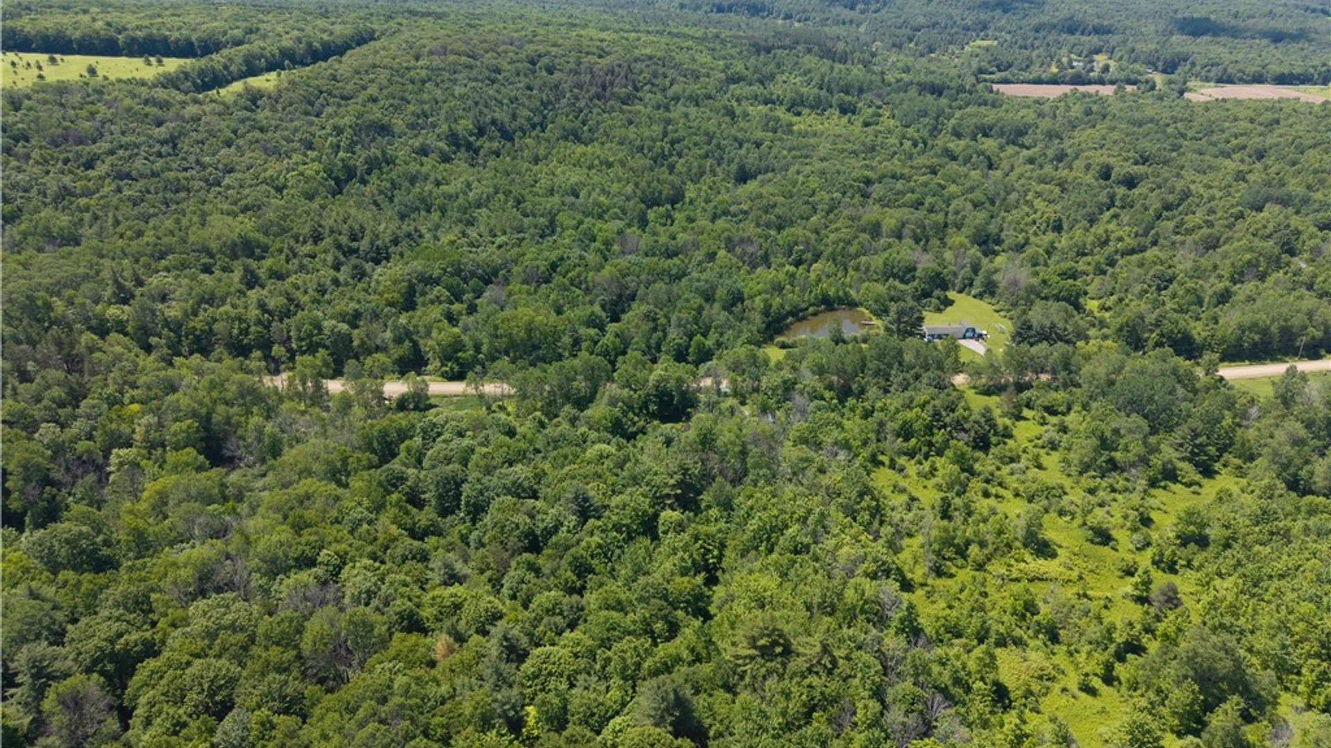 Property at 0 Schneider Road, Granger, NY 14735 49