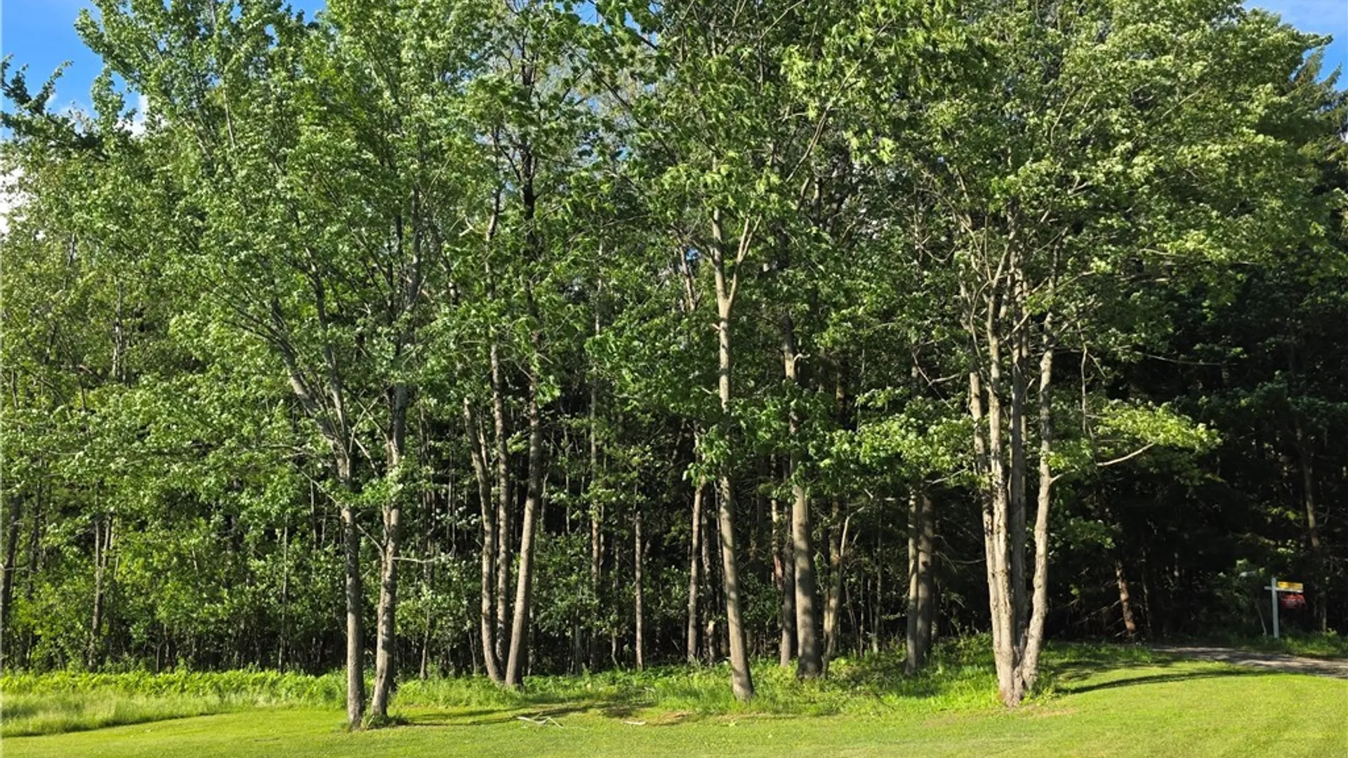 Property at 344 Brown Road, Frankfort, NY 13340 34