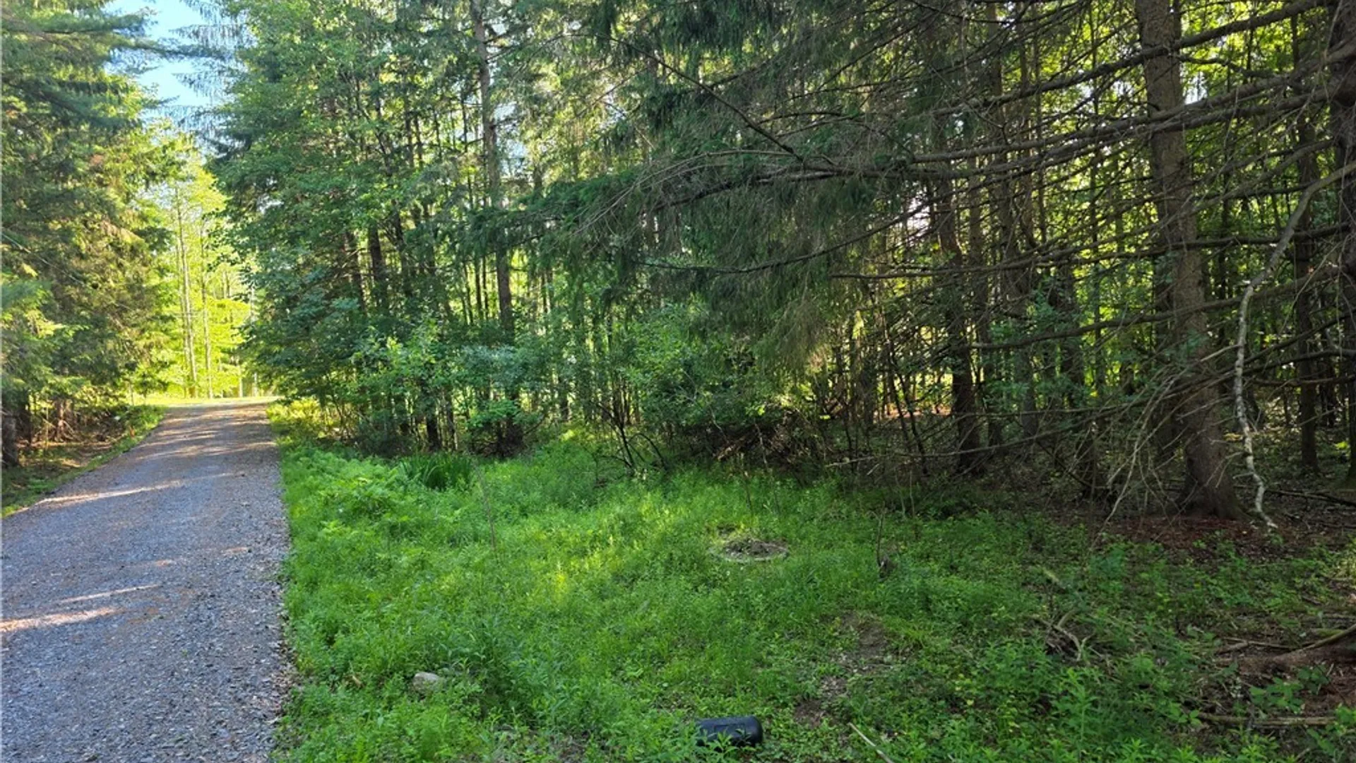 Property at 344 Brown Road, Frankfort, NY 13340 31