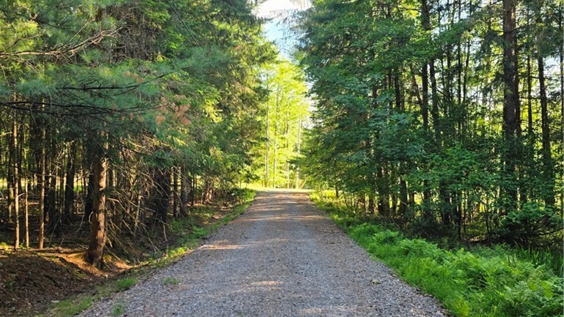 Property at 344 Brown Road, Frankfort, NY 13340 28