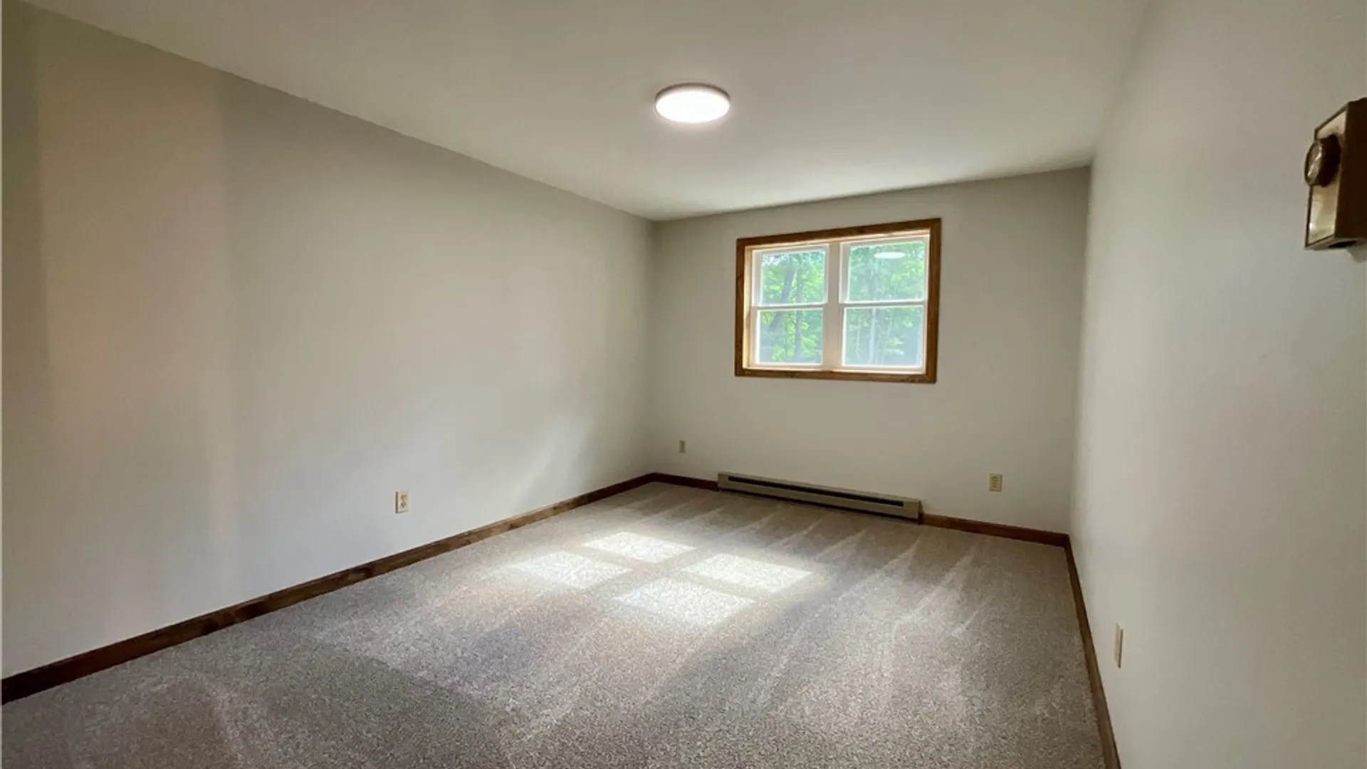 Property at 12965 Johnson Road, Sardinia, NY 14055 13