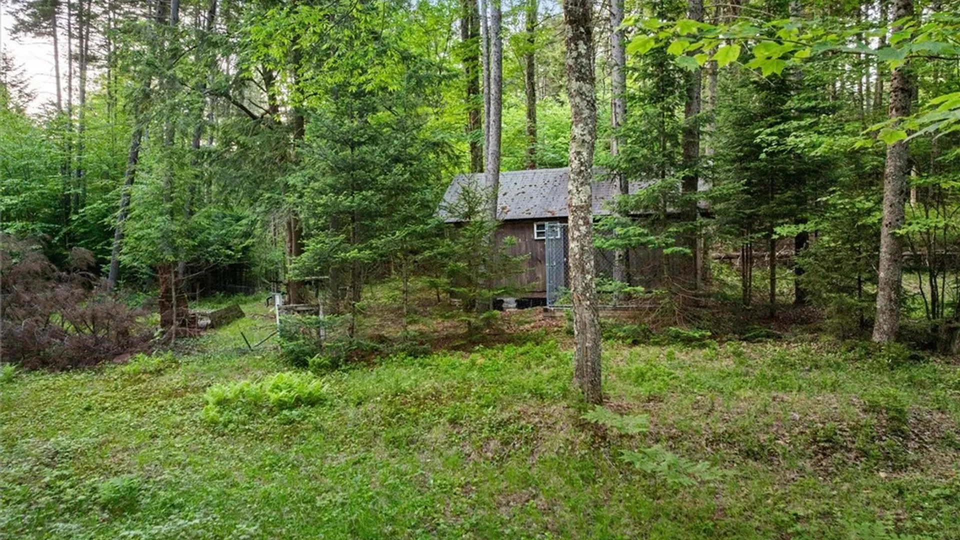 Property at 171 Ash Creek Road, Ohio, NY 13324 46