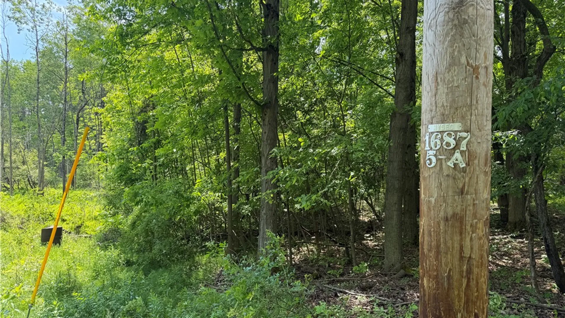 Property at VL Reed Road, West Sparta, NY 14437 4