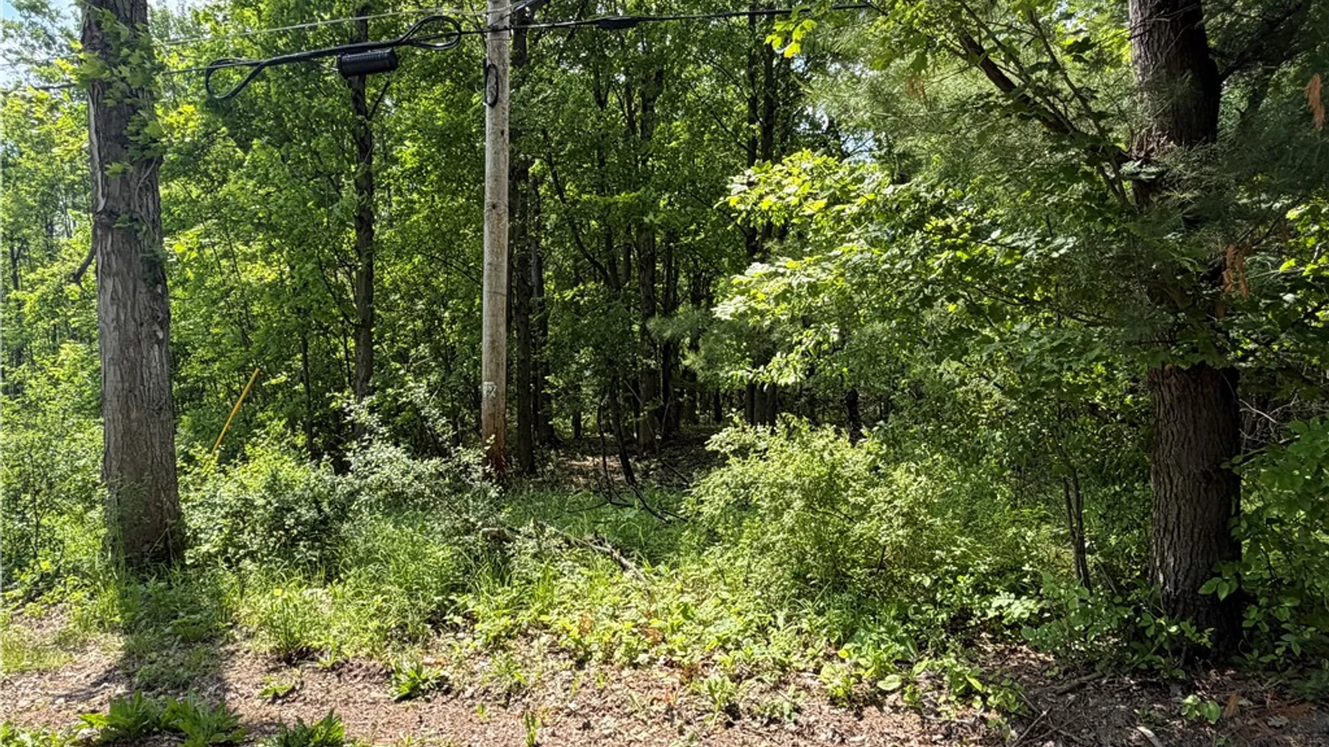 Property at VL Reed Road, West Sparta, NY 14437 5