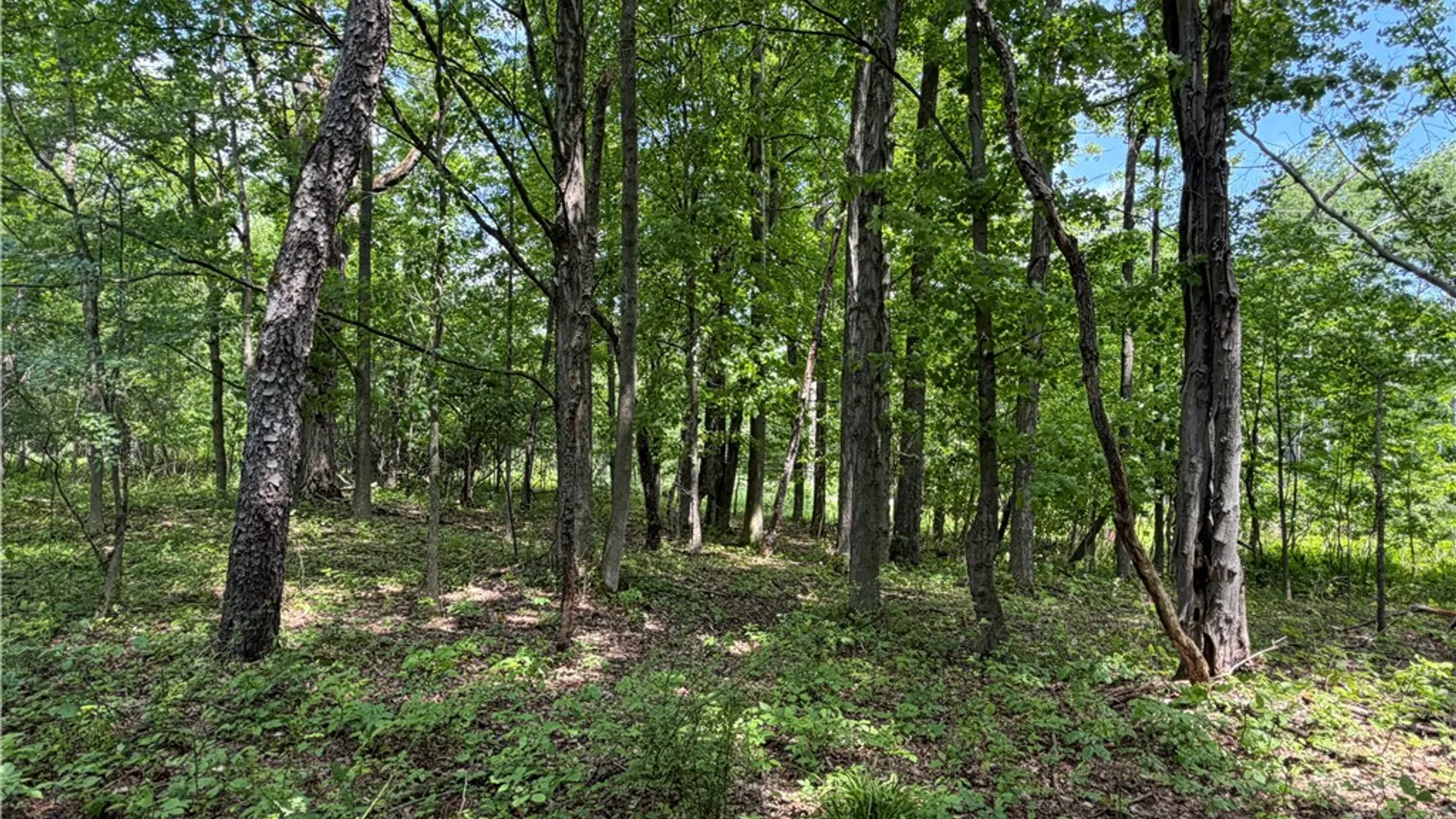 Property at VL Reed Road, West Sparta, NY 14437 10
