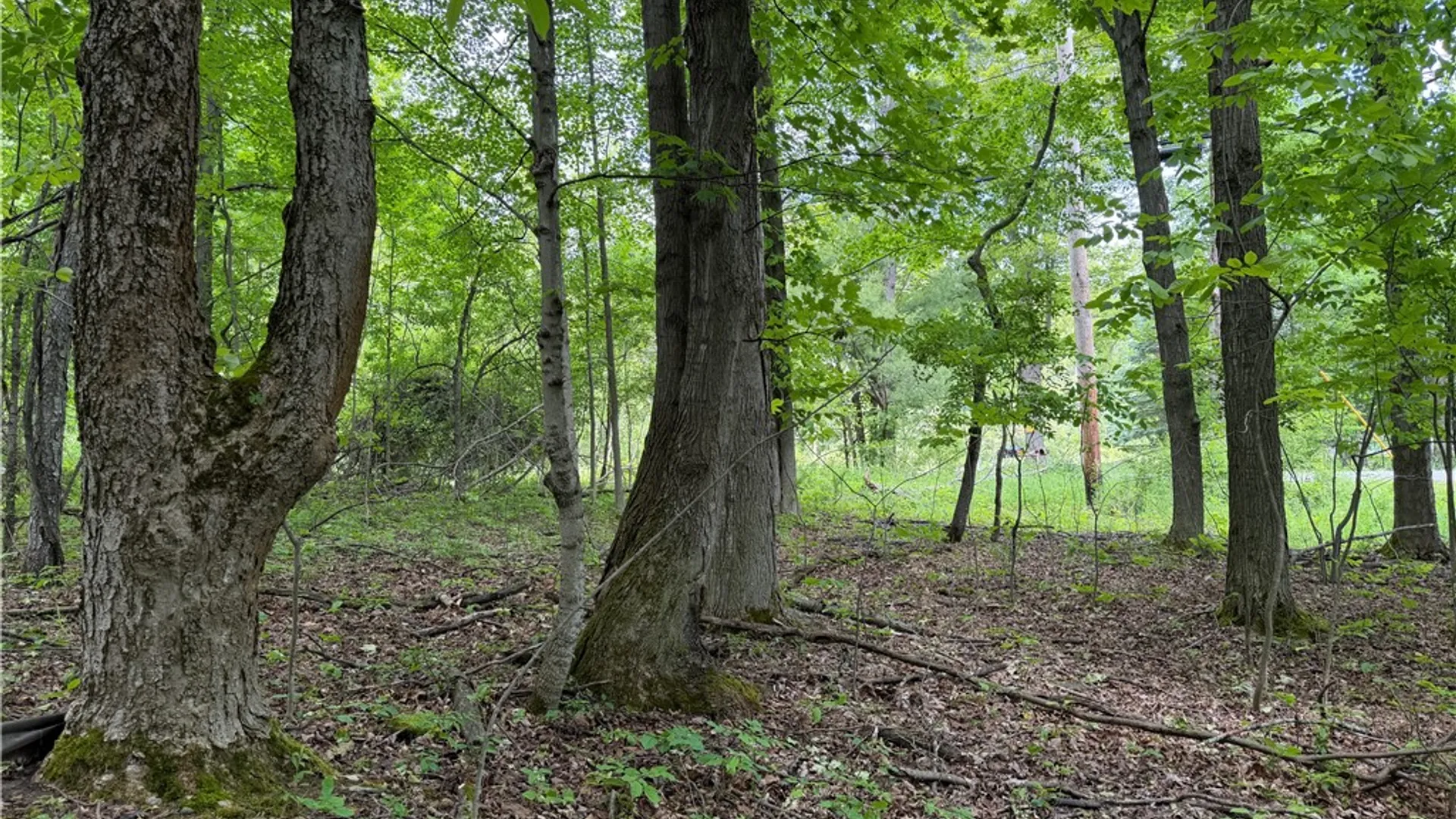 Property at VL Reed Road, West Sparta, NY 14437 25