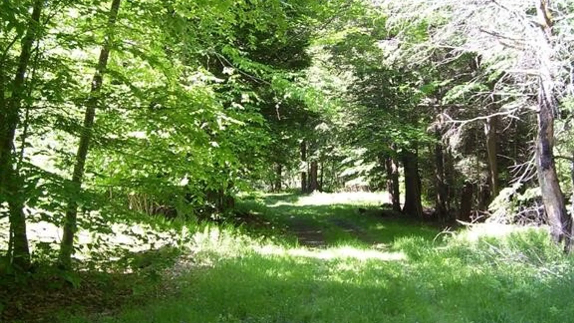 Property at 614 Neff Hill Road, Bainbridge, NY 13733 12