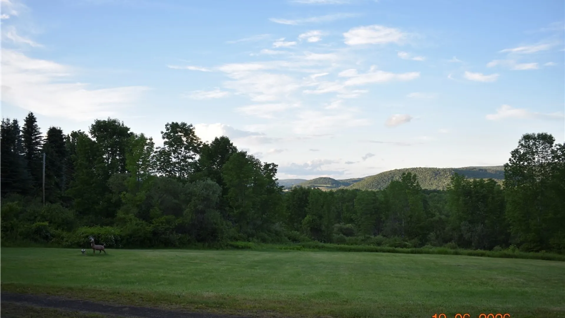 Property at 228 Fred Ottaway Road, Middlefield, NY 13326 3