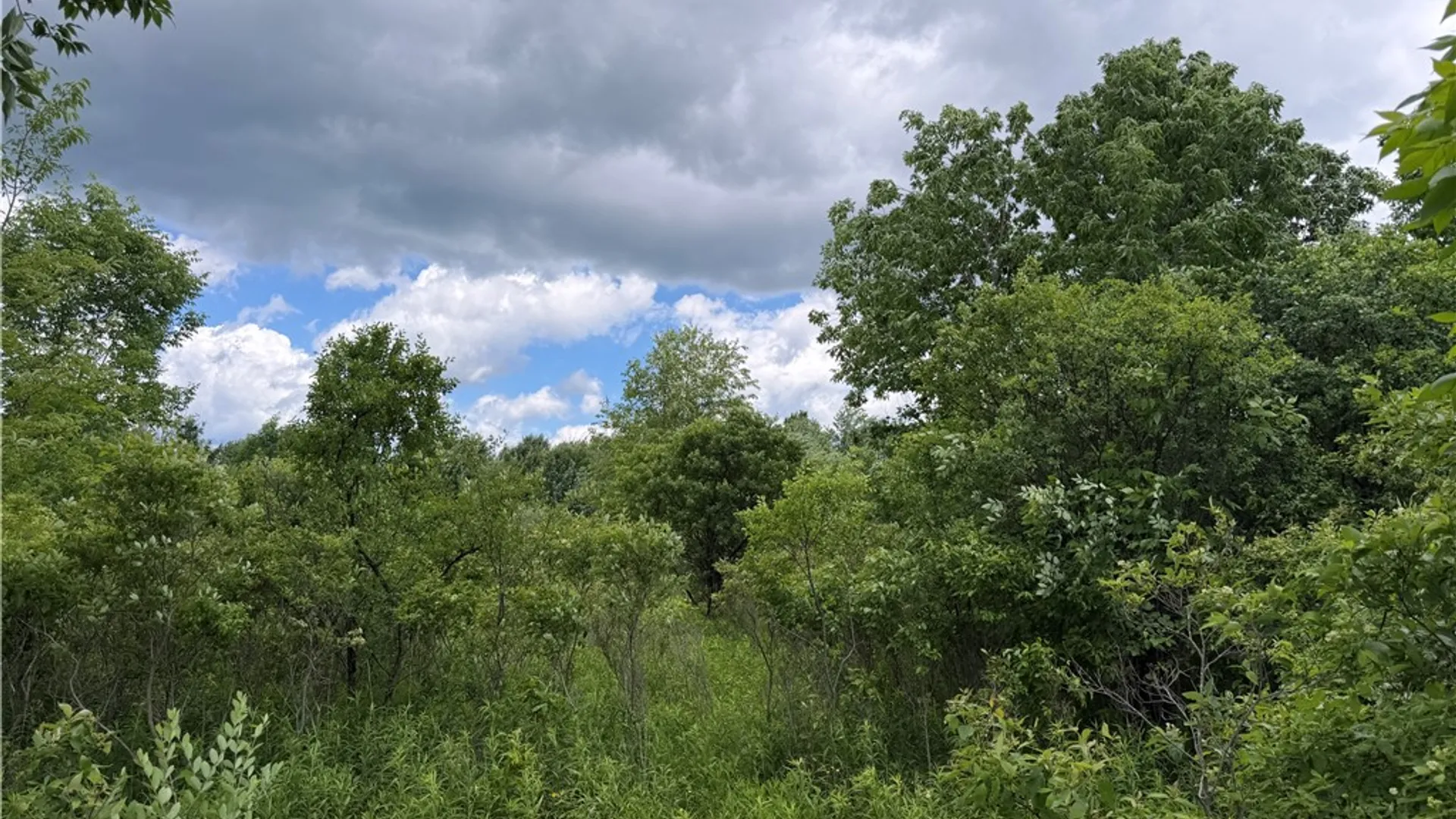Property at 0 North Hill Road, Almond, NY 14807 35