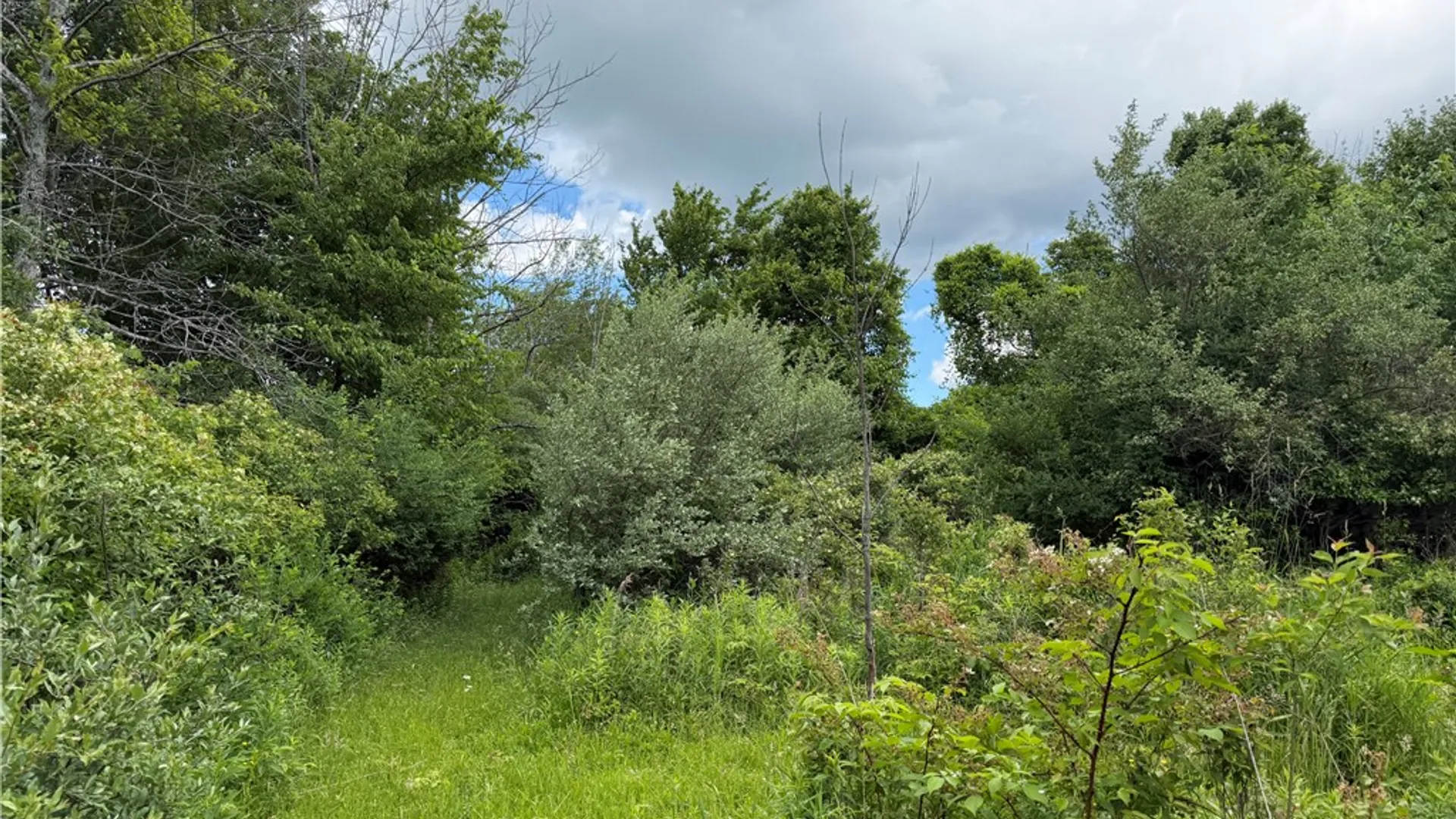 Property at 0 North Hill Road, Almond, NY 14807 36