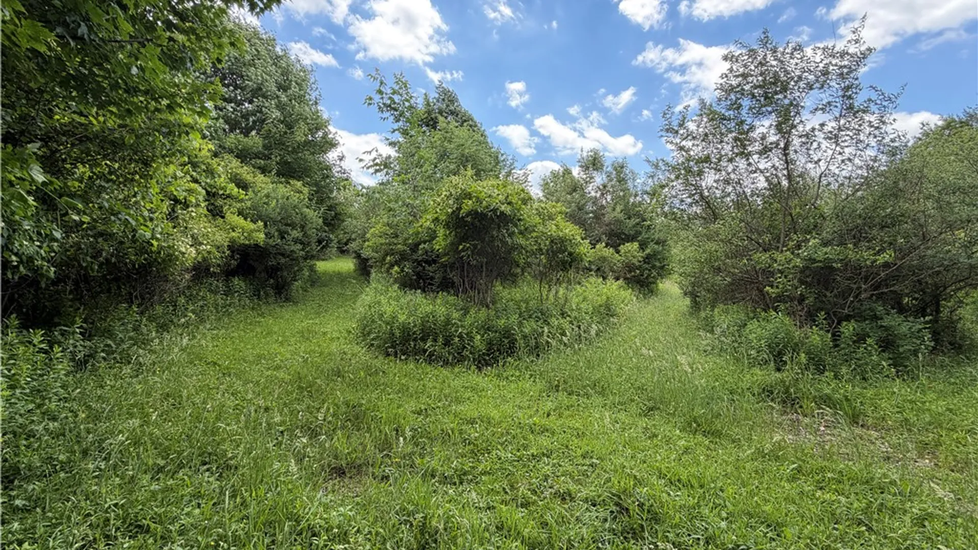 Property at 0 North Hill Road, Almond, NY 14807 39