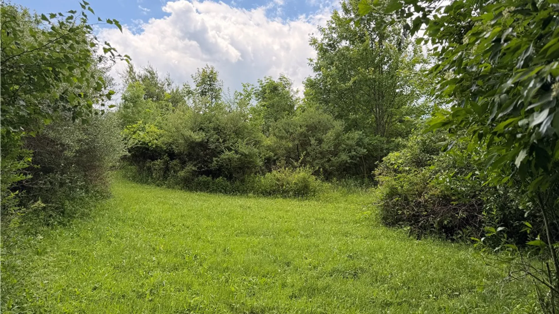 Property at 0 North Hill Road, Almond, NY 14807 31