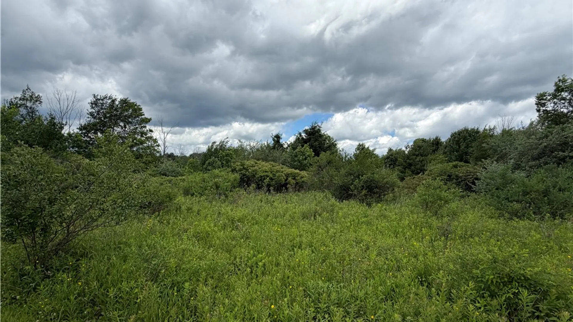 Property at 0 North Hill Road, Almond, NY 14807 32