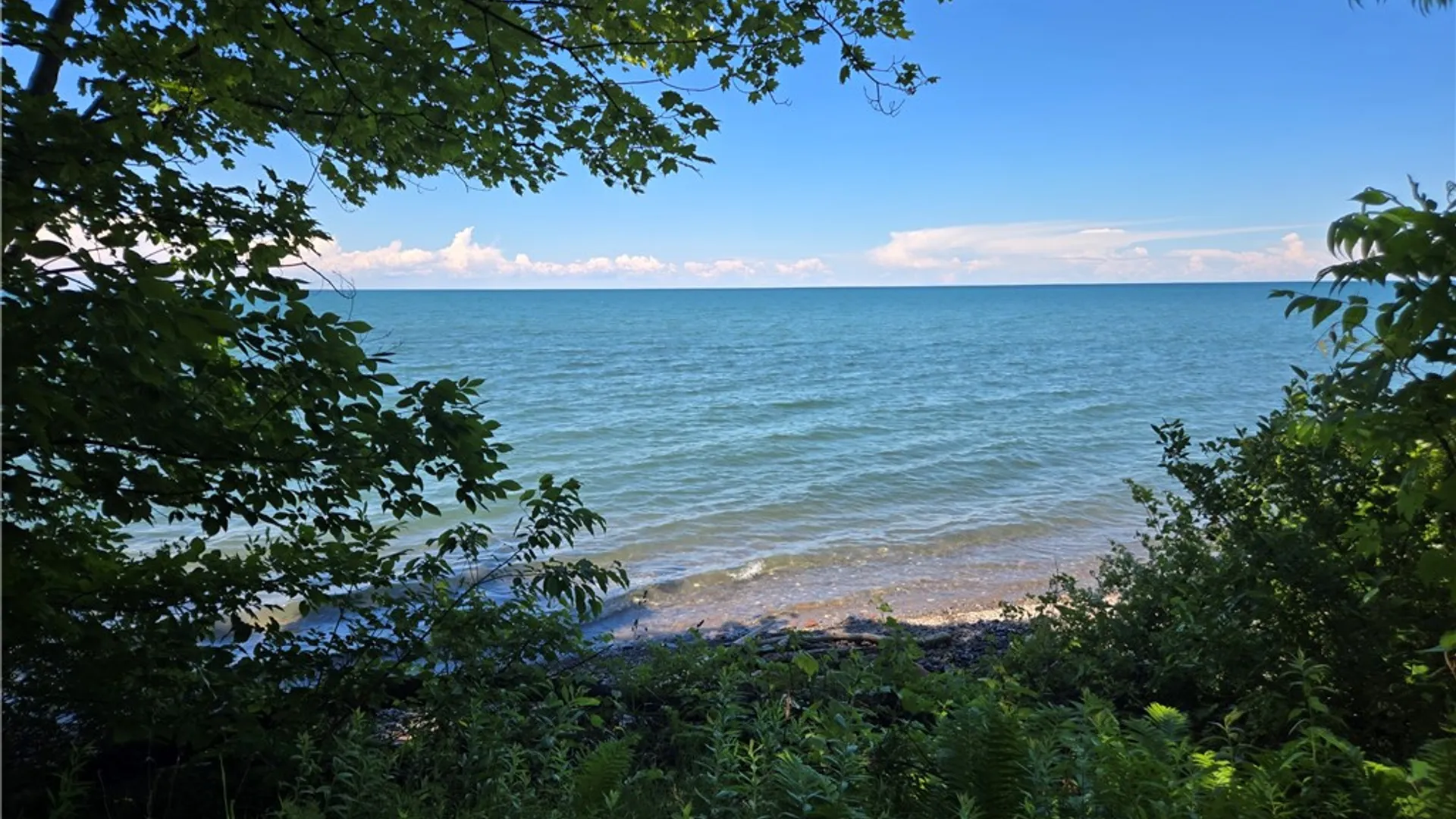 Property at 7251 Sprongs Blf Lane, Sodus, NY 14551 9
