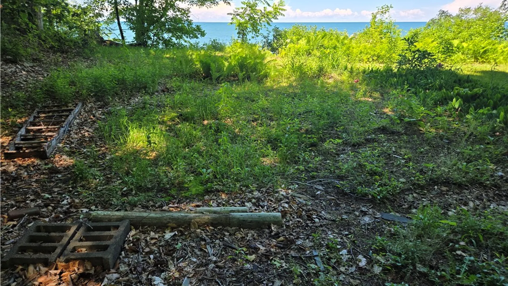 Property at 7251 Sprongs Blf Lane, Sodus, NY 14551 10