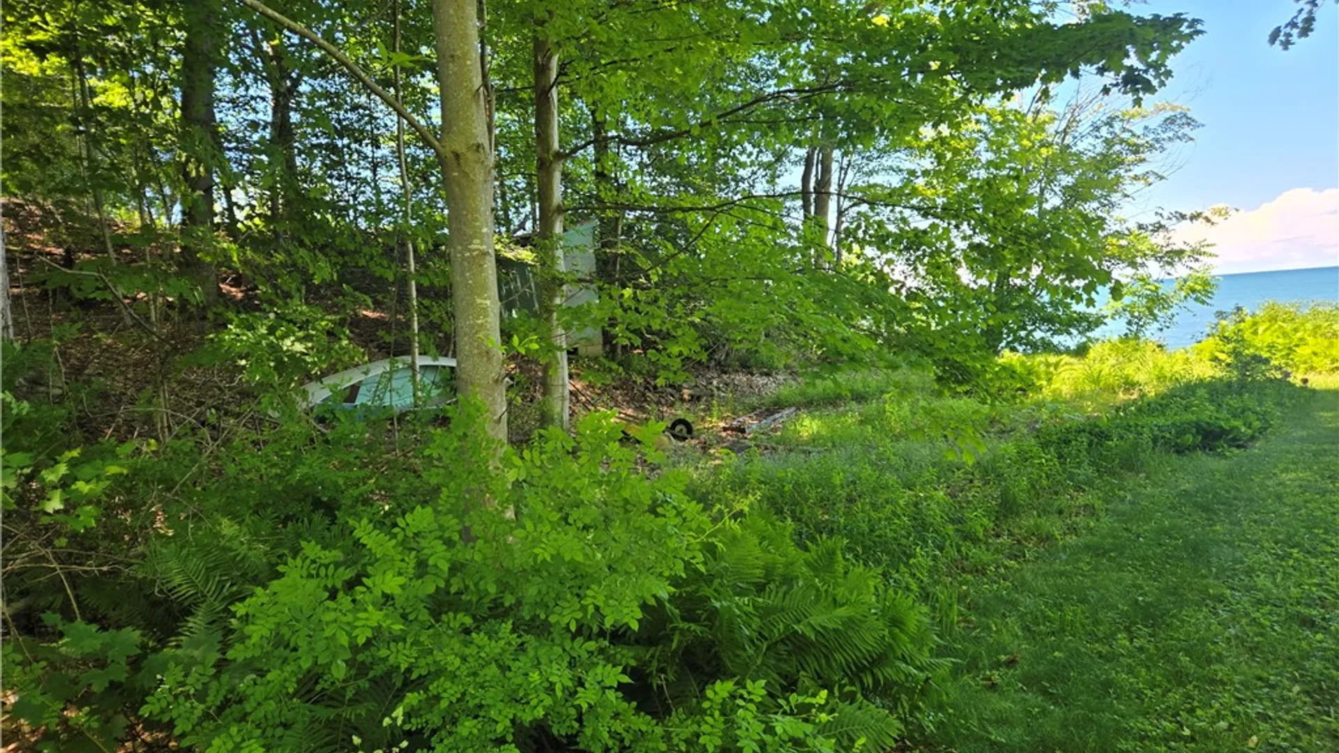 Property at 7251 Sprongs Blf Lane, Sodus, NY 14551 11