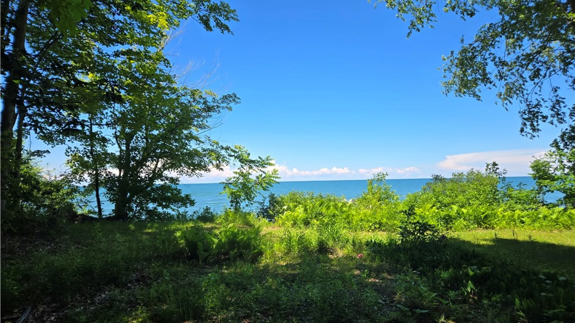 Property at 7251 Sprongs Blf Lane, Sodus, NY 14551 12