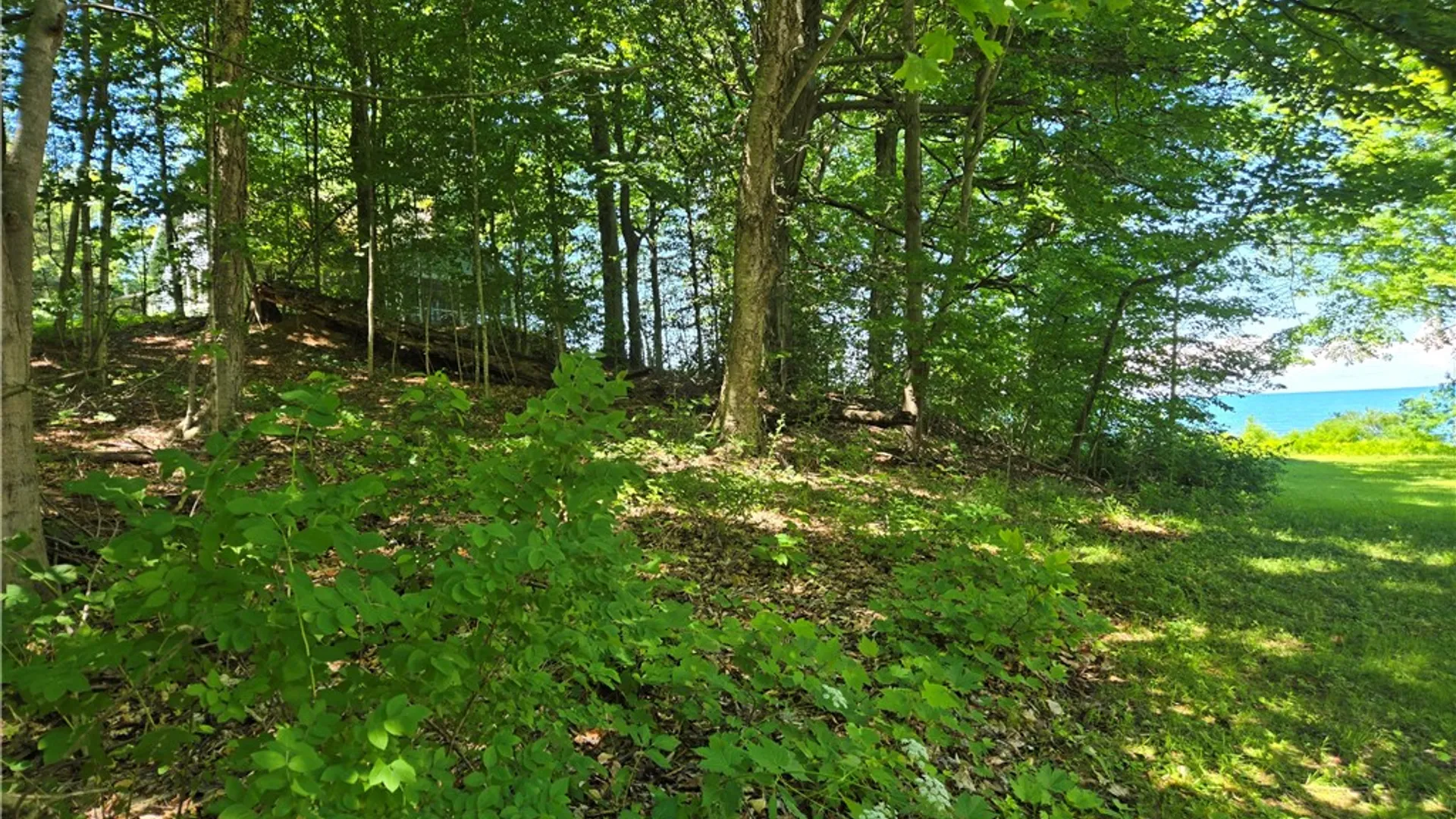 Property at 7251 Sprongs Blf Lane, Sodus, NY 14551 13