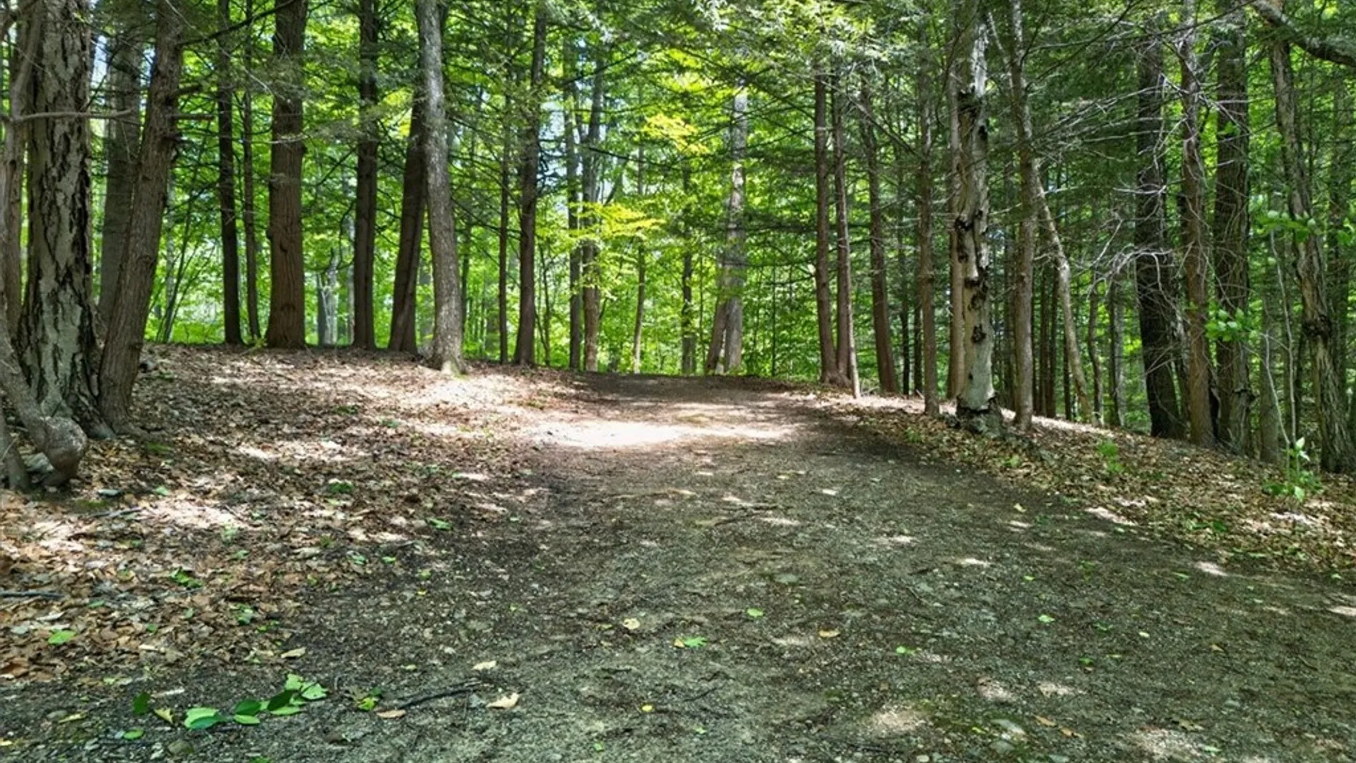 Property at 7682 Cottage Road, Wolcott, NY 14590 9