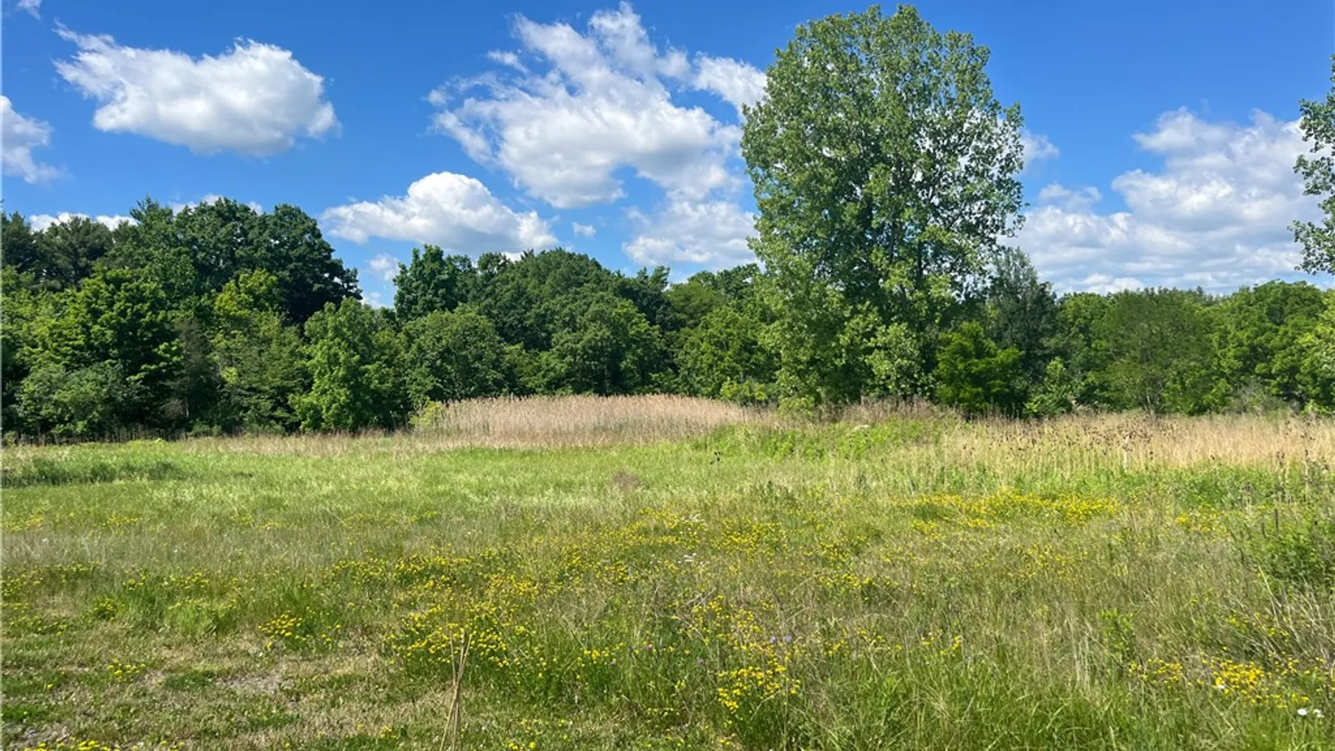 Property at 0 Ridge Road, Lansing, NY 14882 6