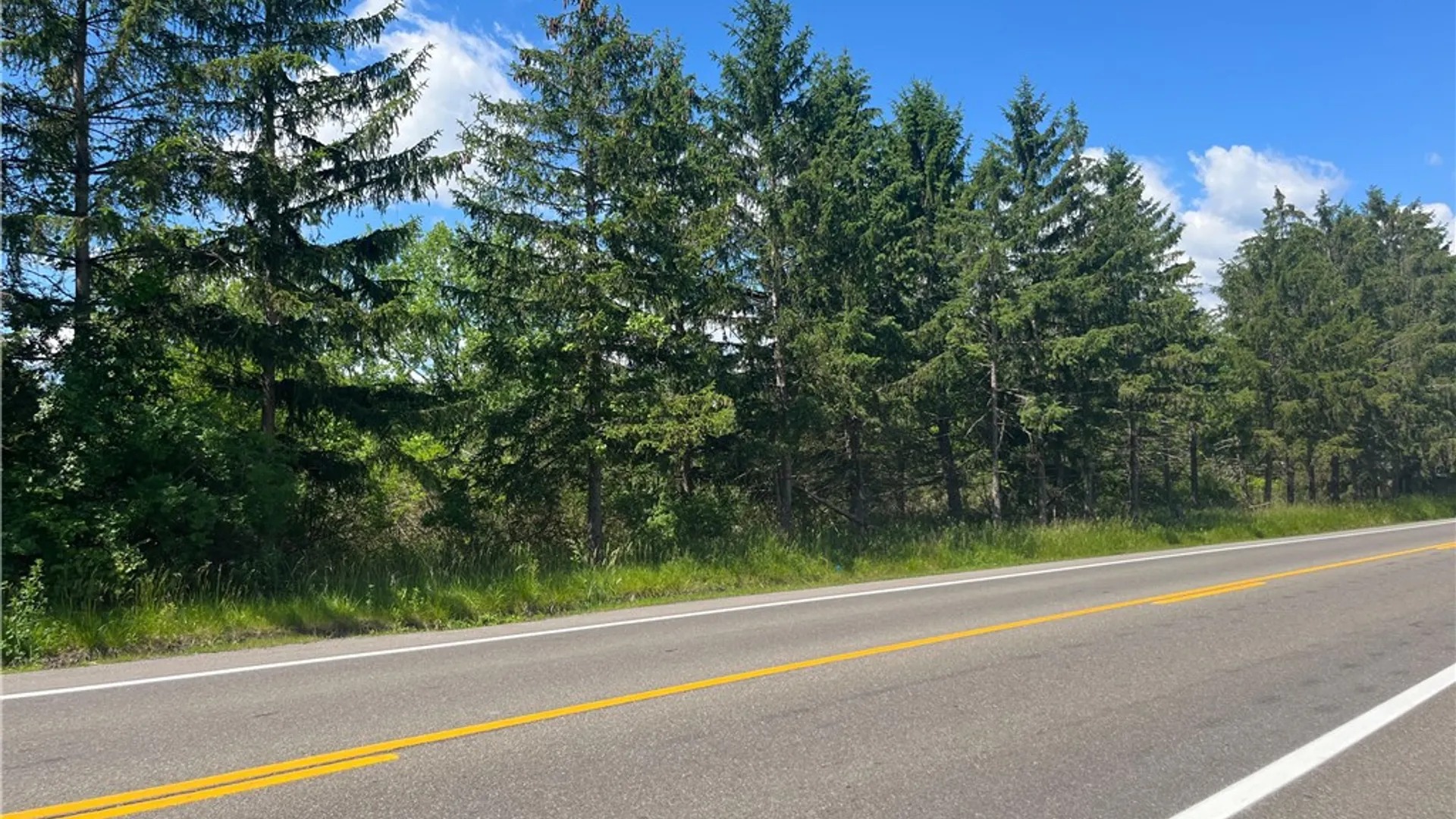 Property at 0 Ridge Road, Lansing, NY 14882 8