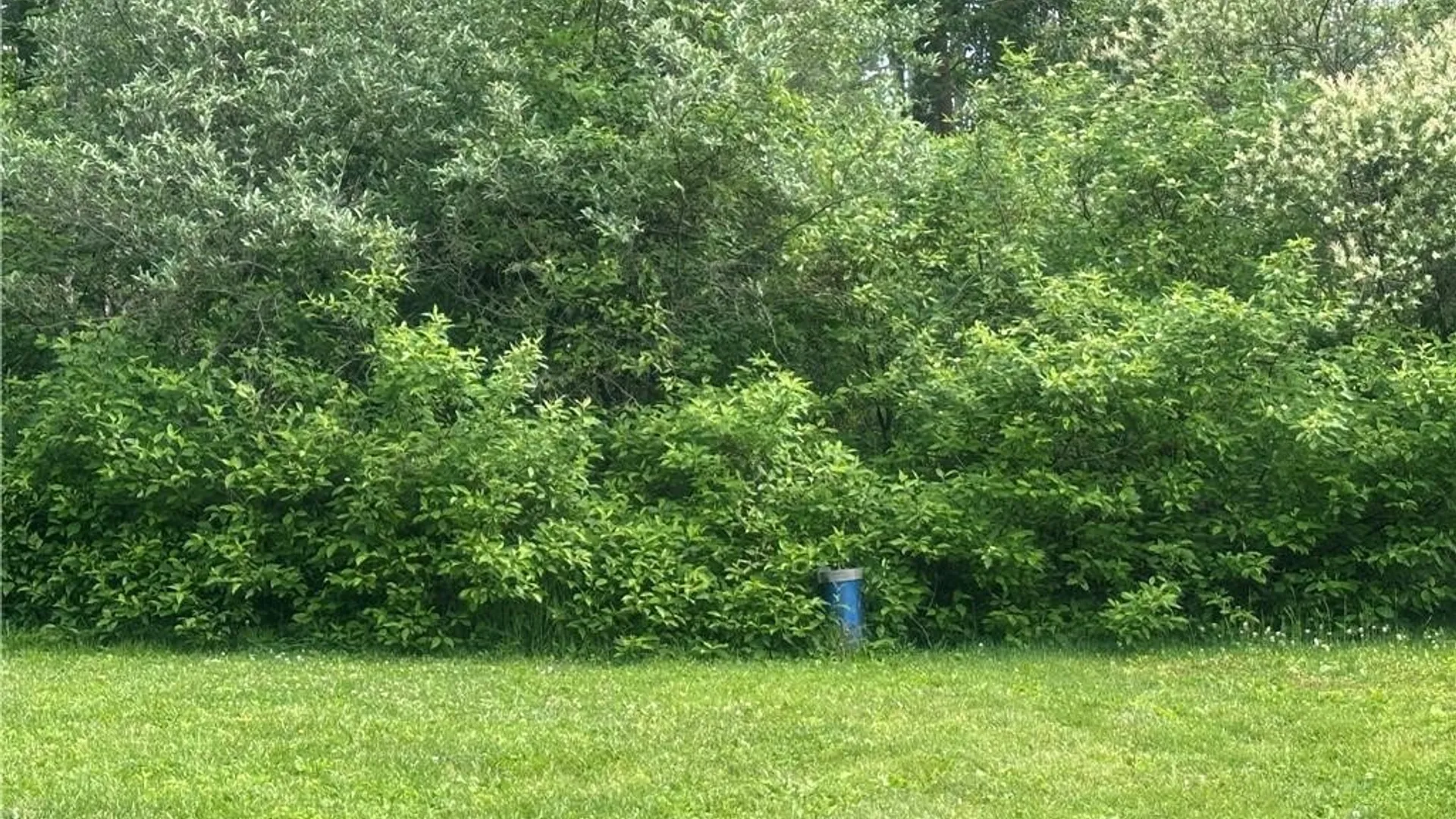 Property at 13170 Transit Line Road, Concord, NY 14141 26