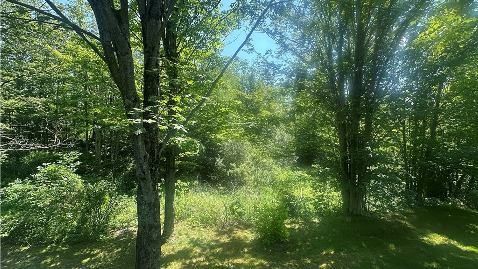 Property at 13170 Transit Line Road, Concord, NY 14141 27