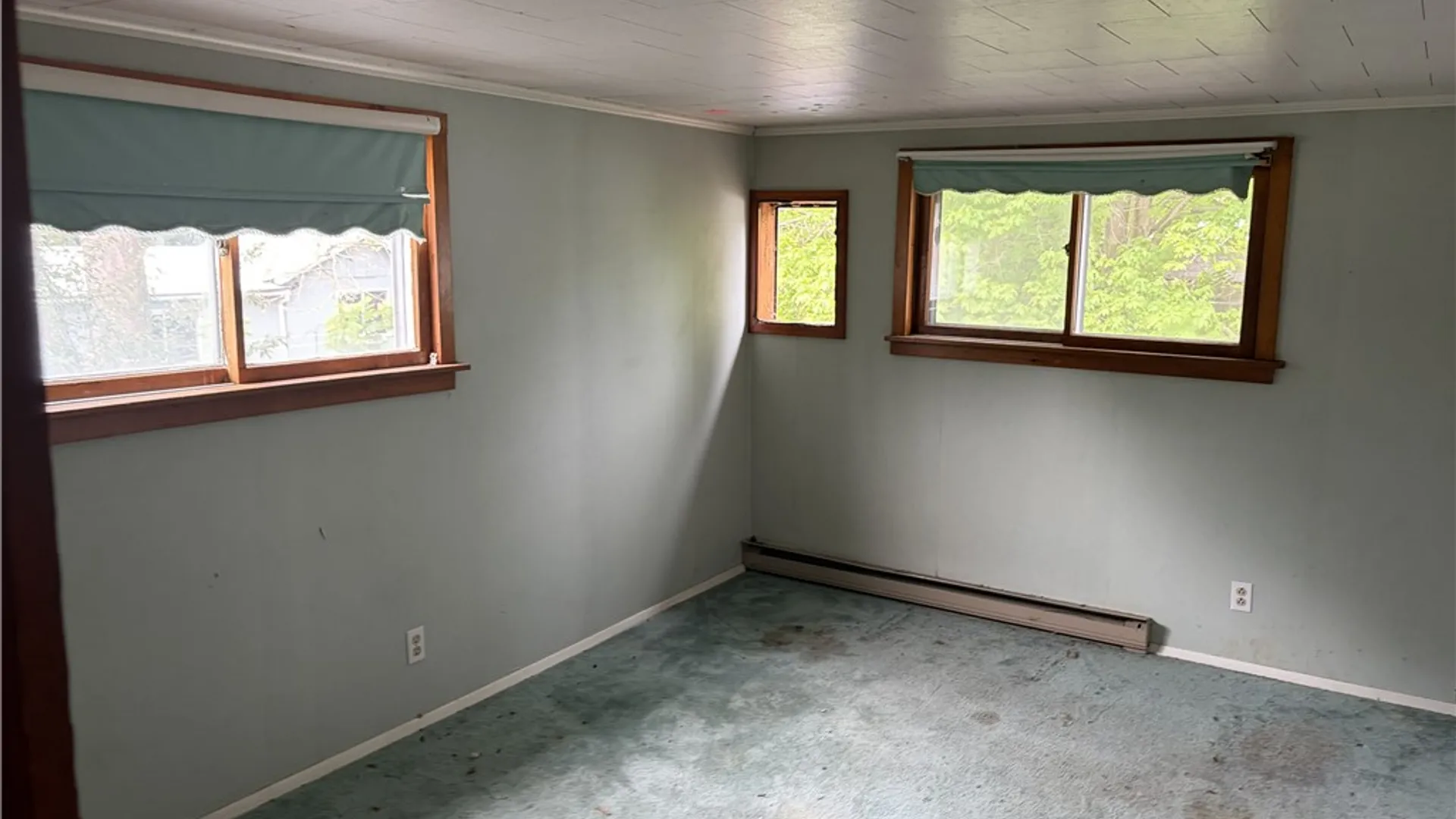 Property at 11 Mcmaster Street, Bath, NY 14810 15