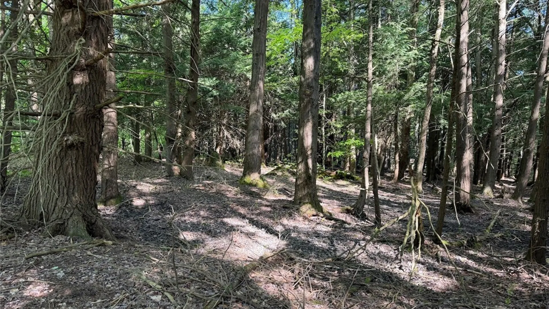 Property at 3846 Tamarack Ridge Road, Franklinville, NY 14737 19