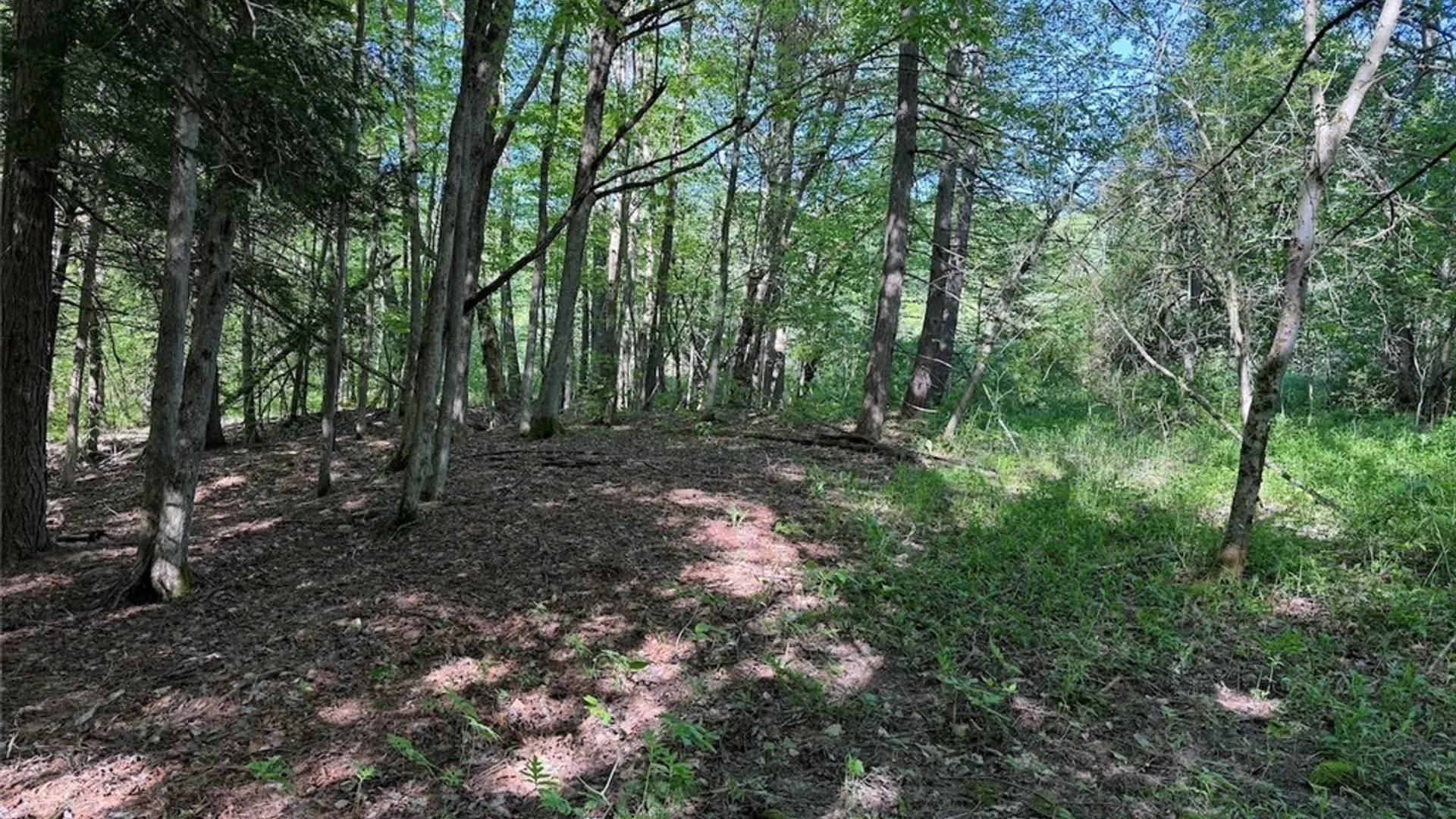 Property at 3846 Tamarack Ridge Road, Franklinville, NY 14737 25