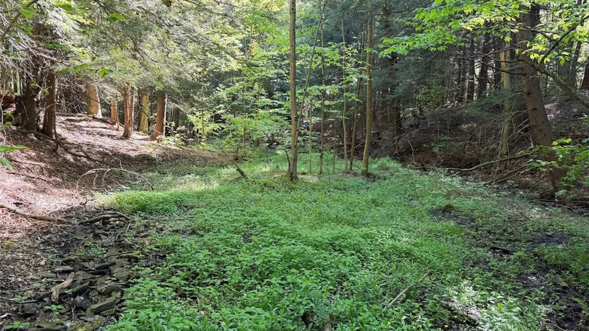 Property at 3846 Tamarack Ridge Road, Franklinville, NY 14737 26
