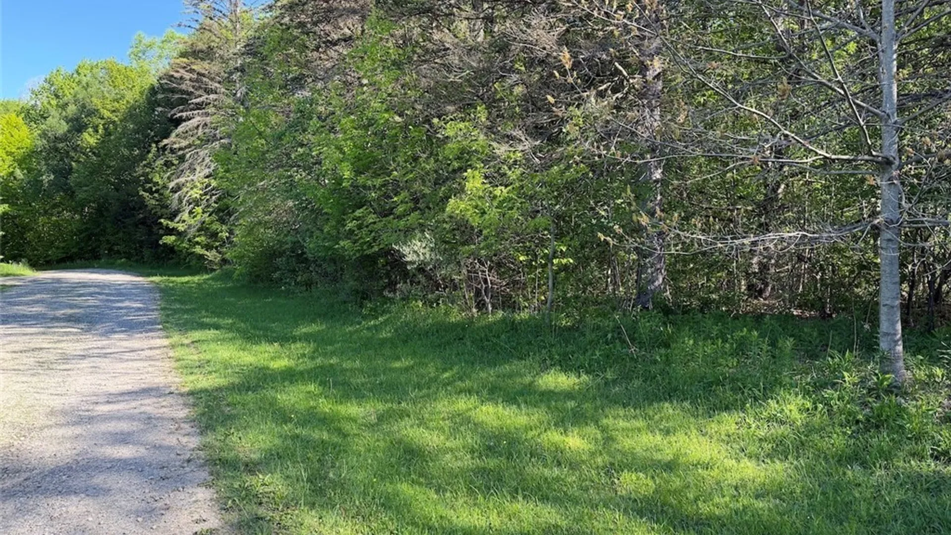 Property at 3846 Tamarack Ridge Road, Franklinville, NY 14737 35